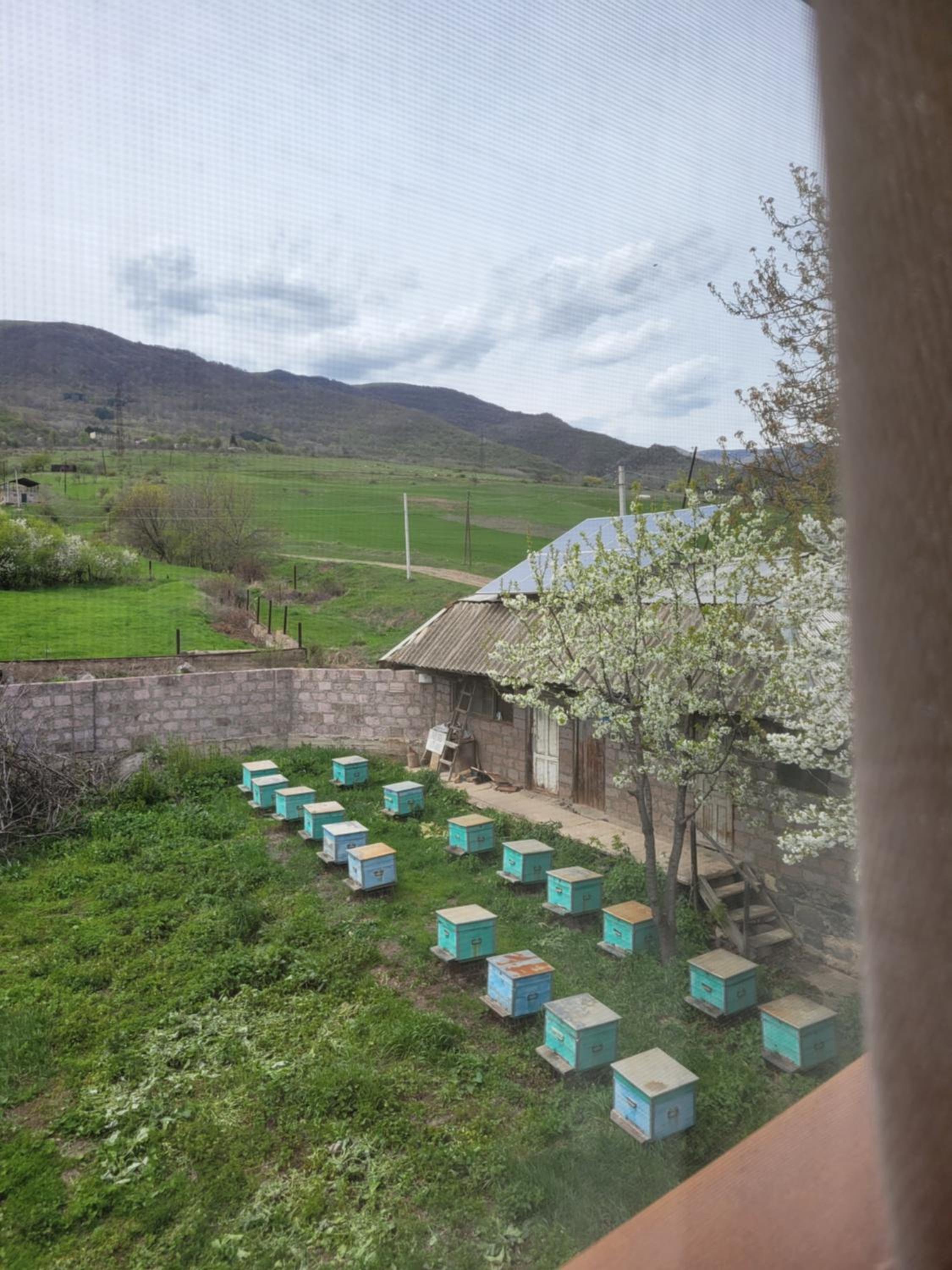 B&B Odzun