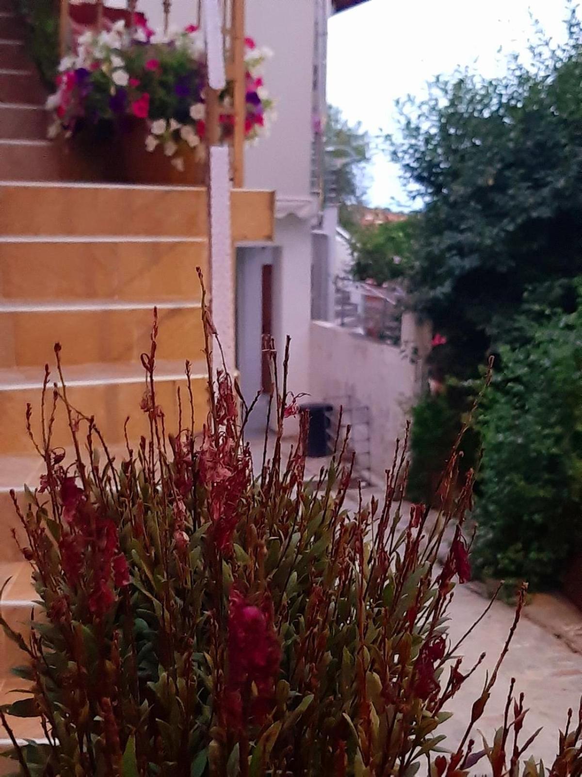 AGORA LUXURY LOFT view 4