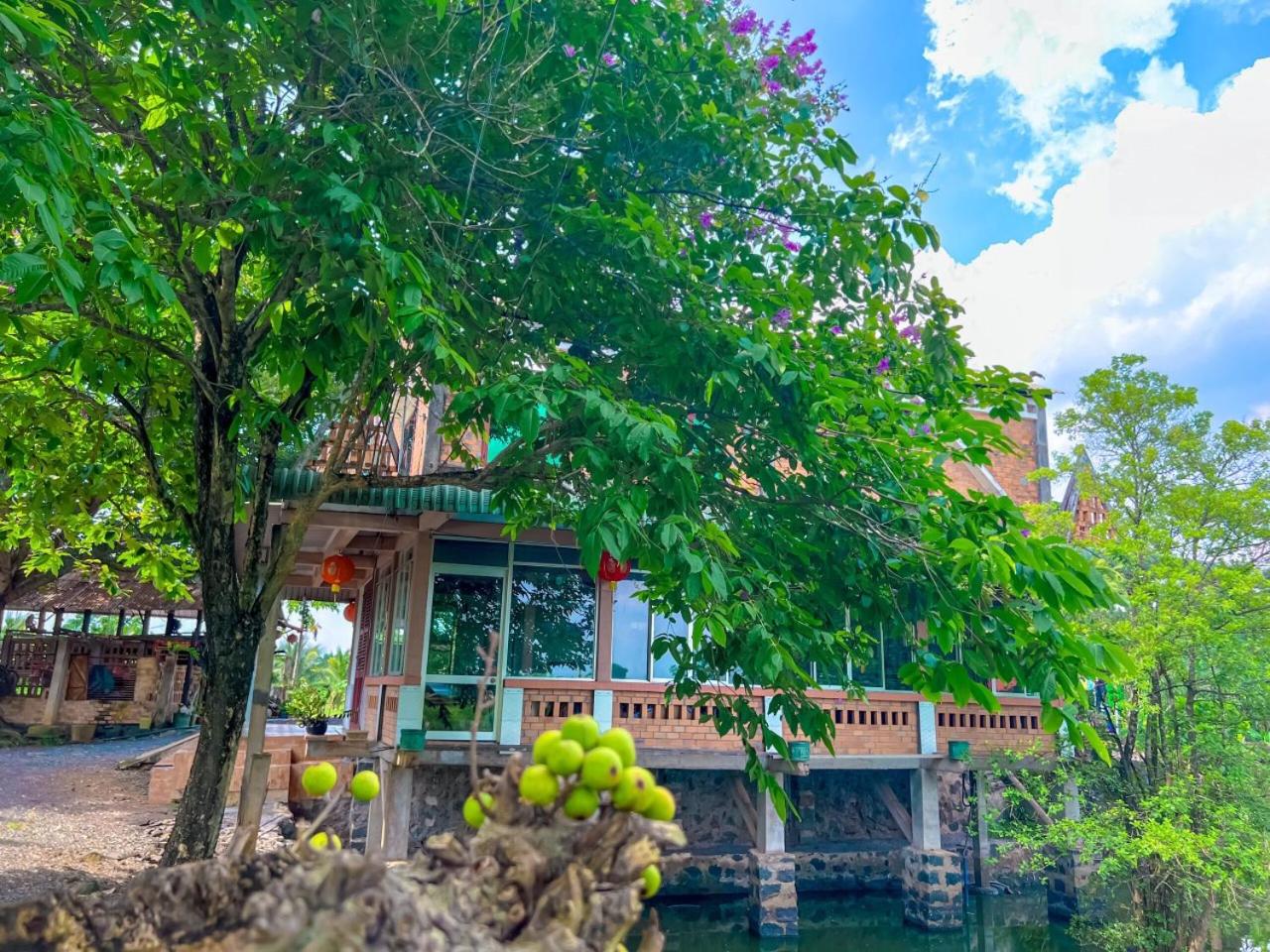 Homestay tay view 5