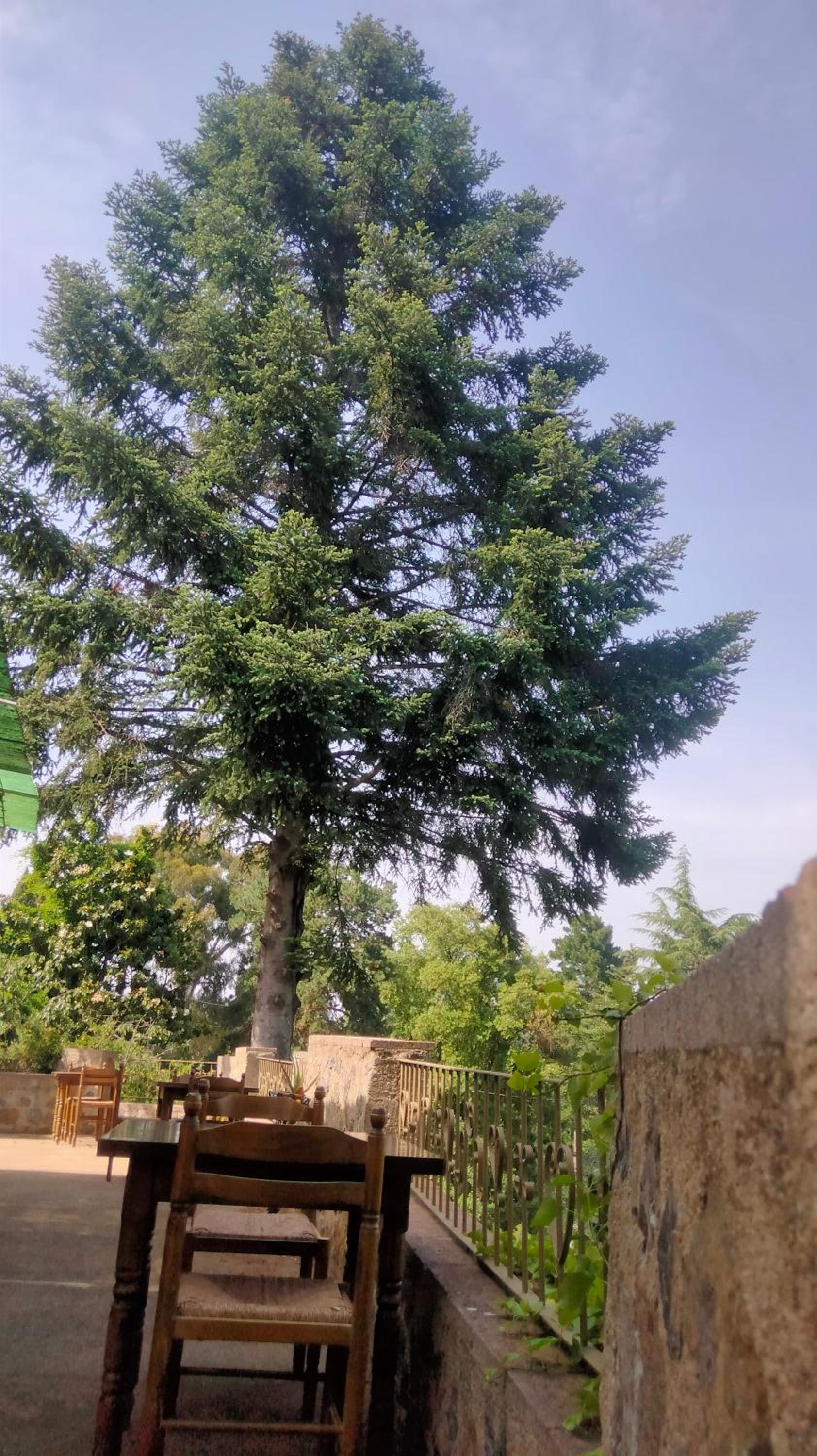 Rural Sant Llop