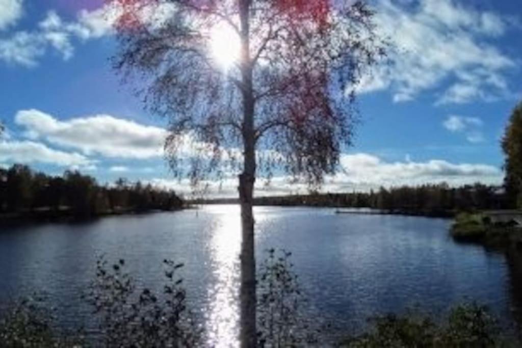Kissankello, nostalginen rauhoittava huoneisto