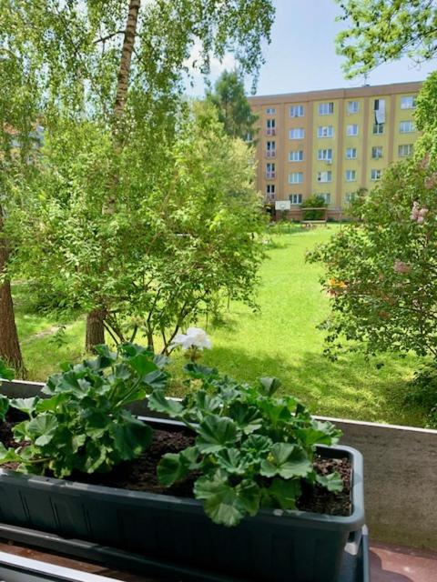 Apartmán Šnyt Primka