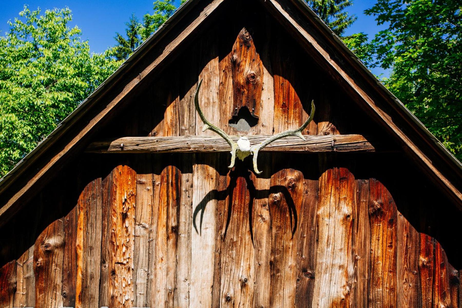 Waldhütte KOSAK - jetzt neu mit Bad & WC