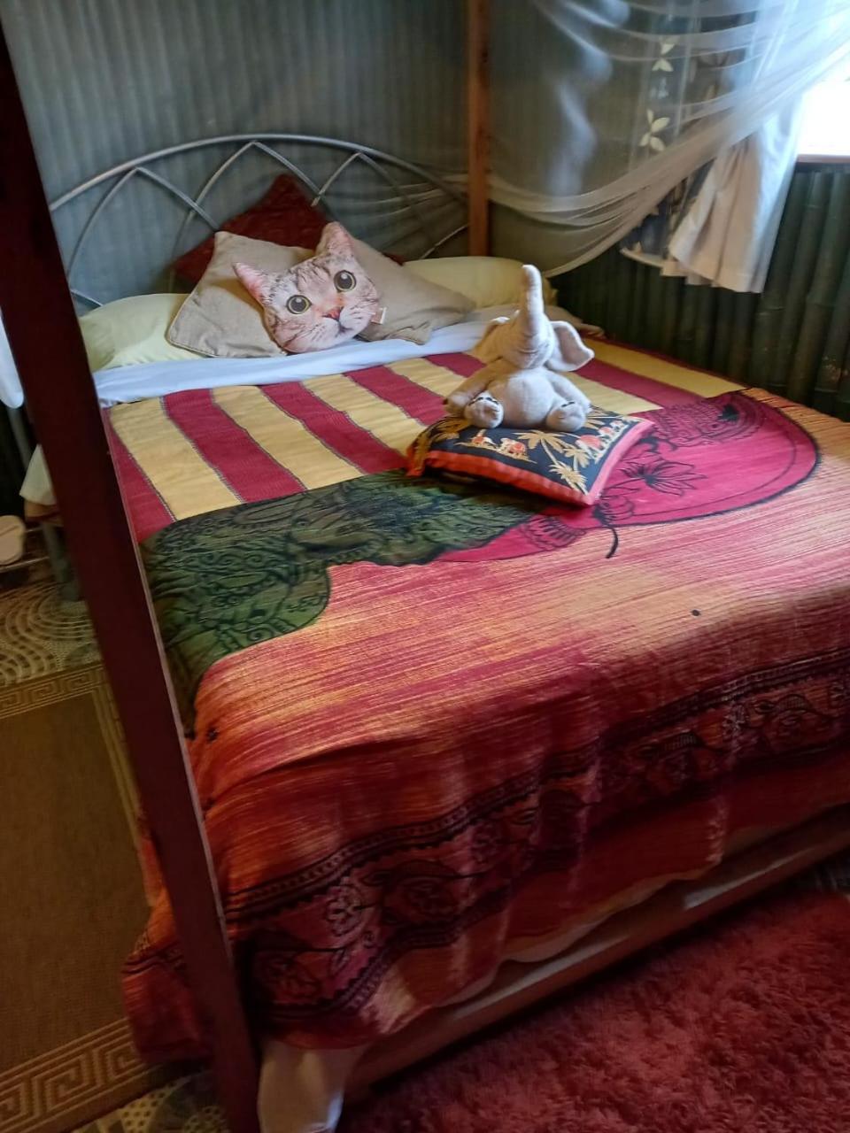 Photo 19