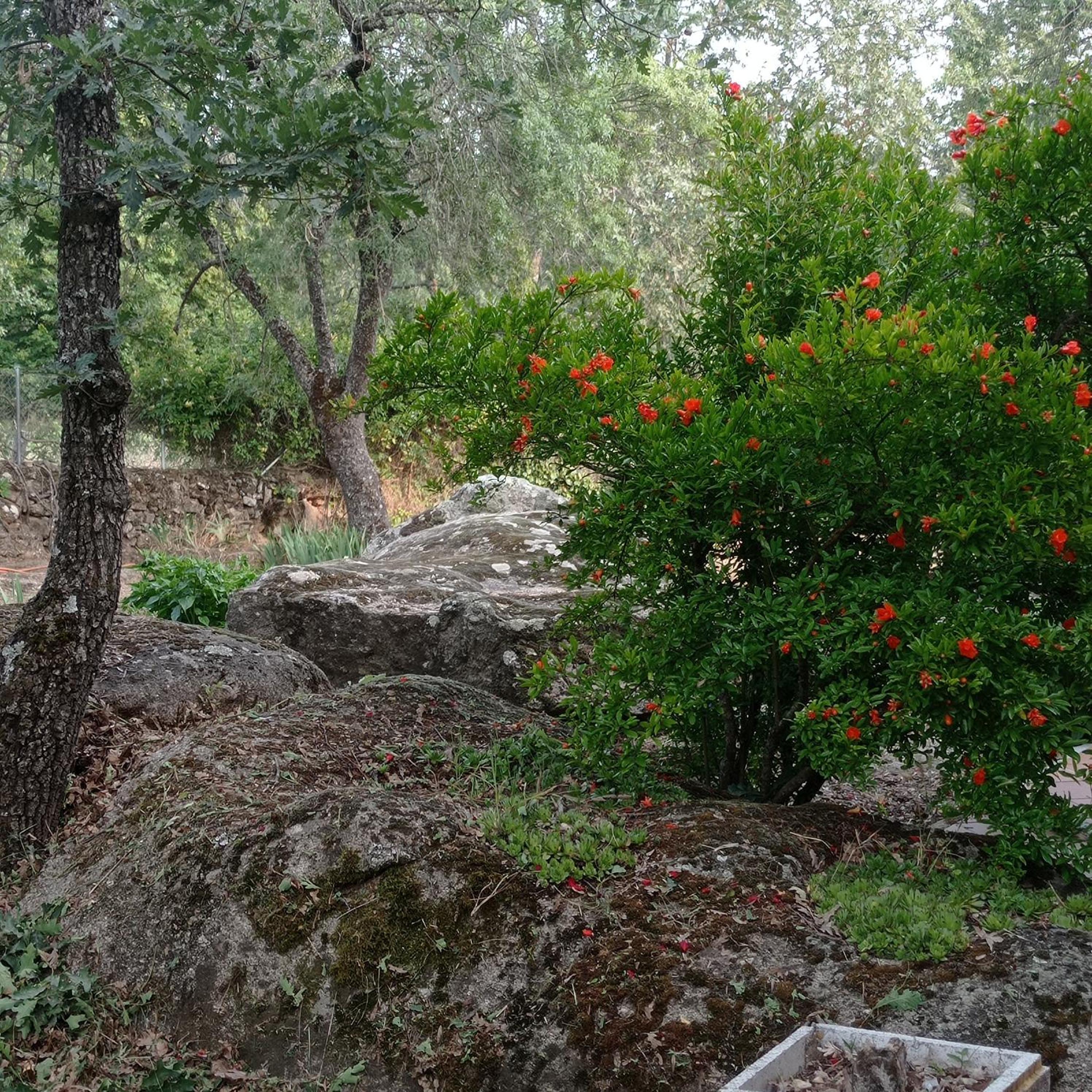 Casa Rural Viñas Perdidas