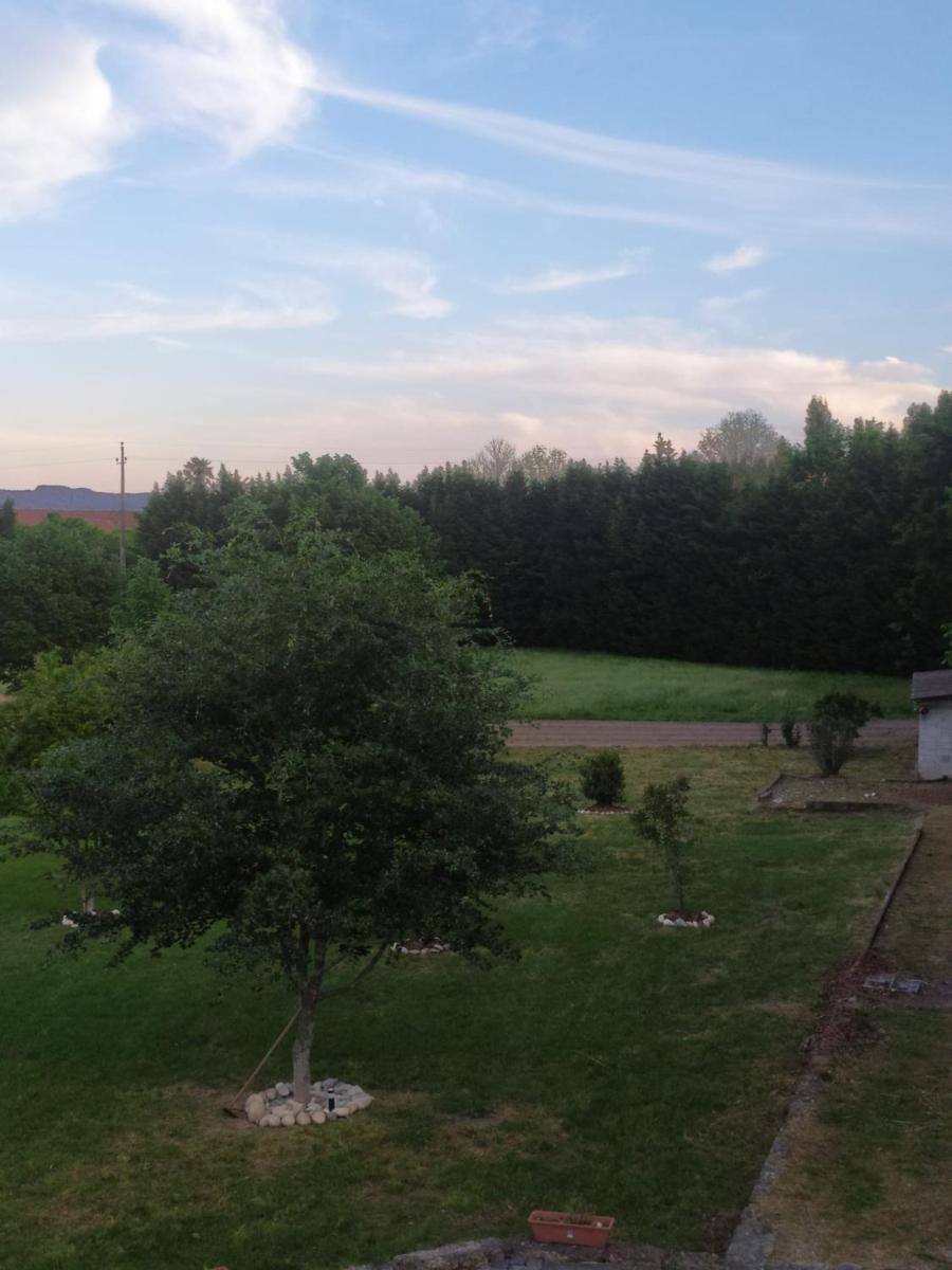 Photo 24
