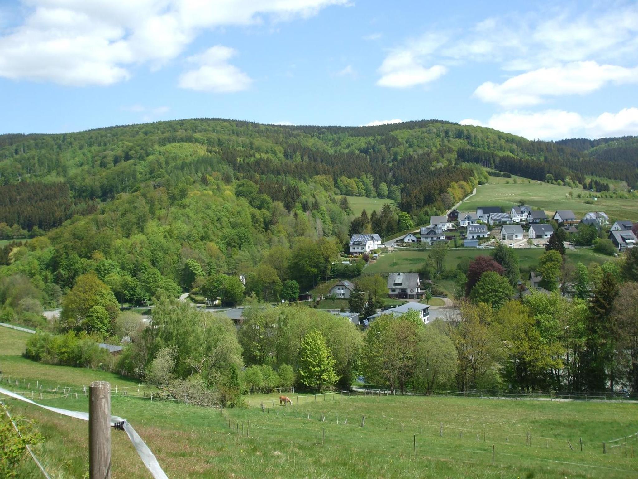 Ferienwohnung Hankeln en Winterberg