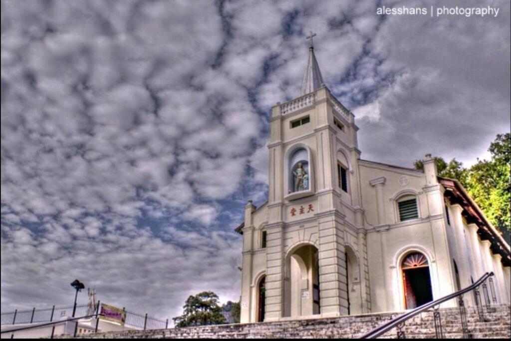 Photo 8