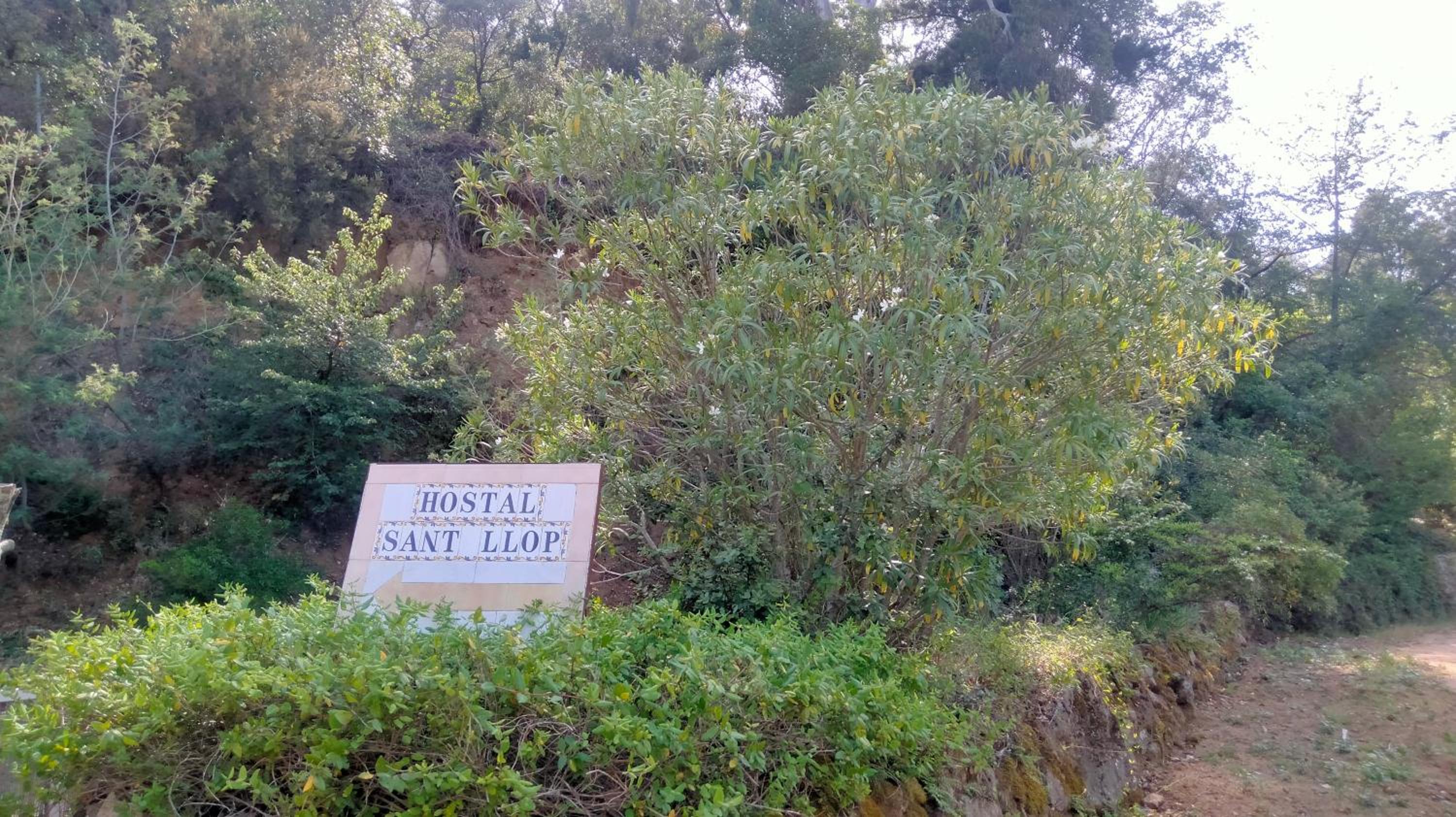 Rural Sant Llop