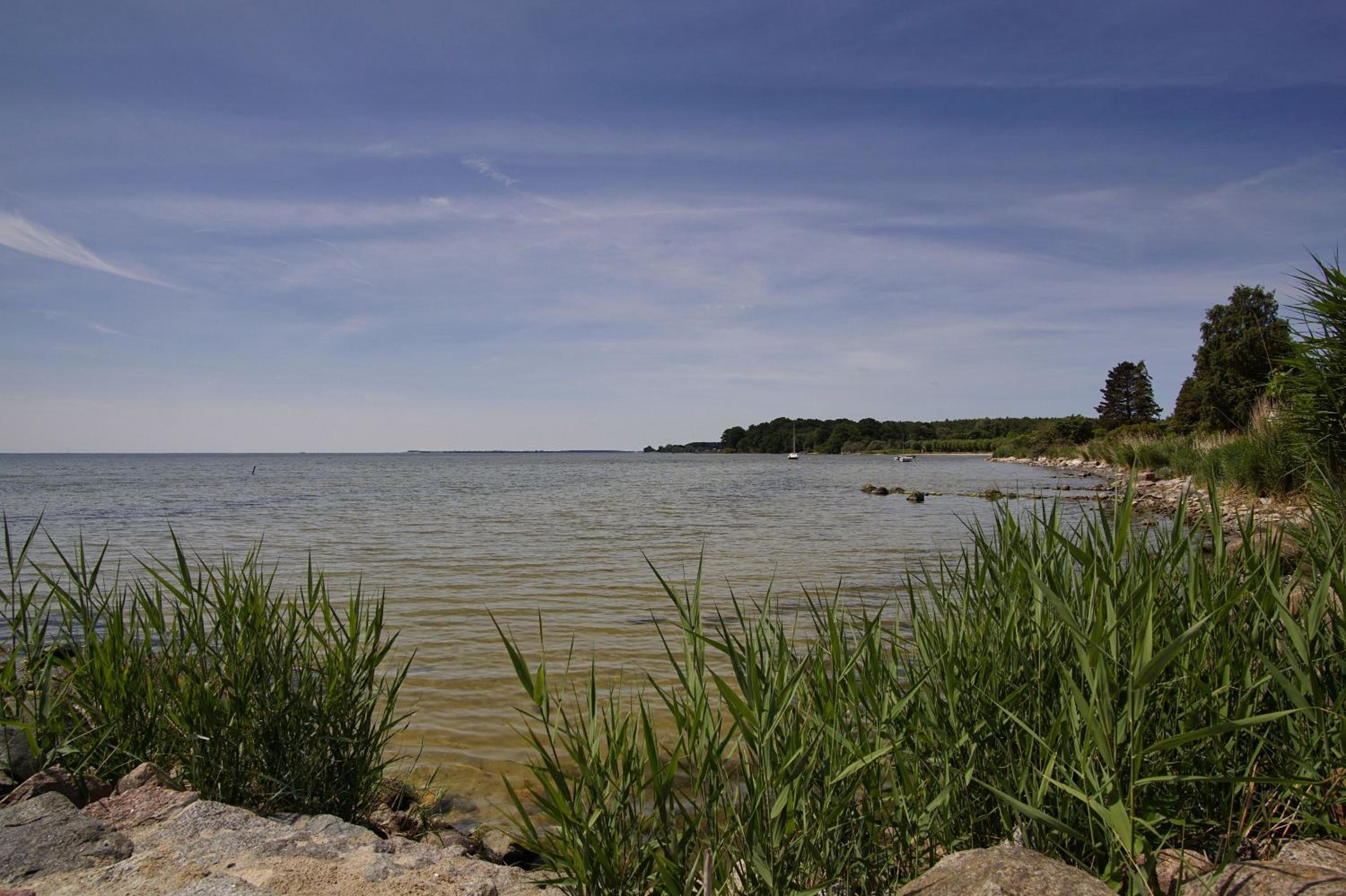 strandnahe Idylle am Meer, private Badestelle, Strandkorb - Gutshof Ostseeblick