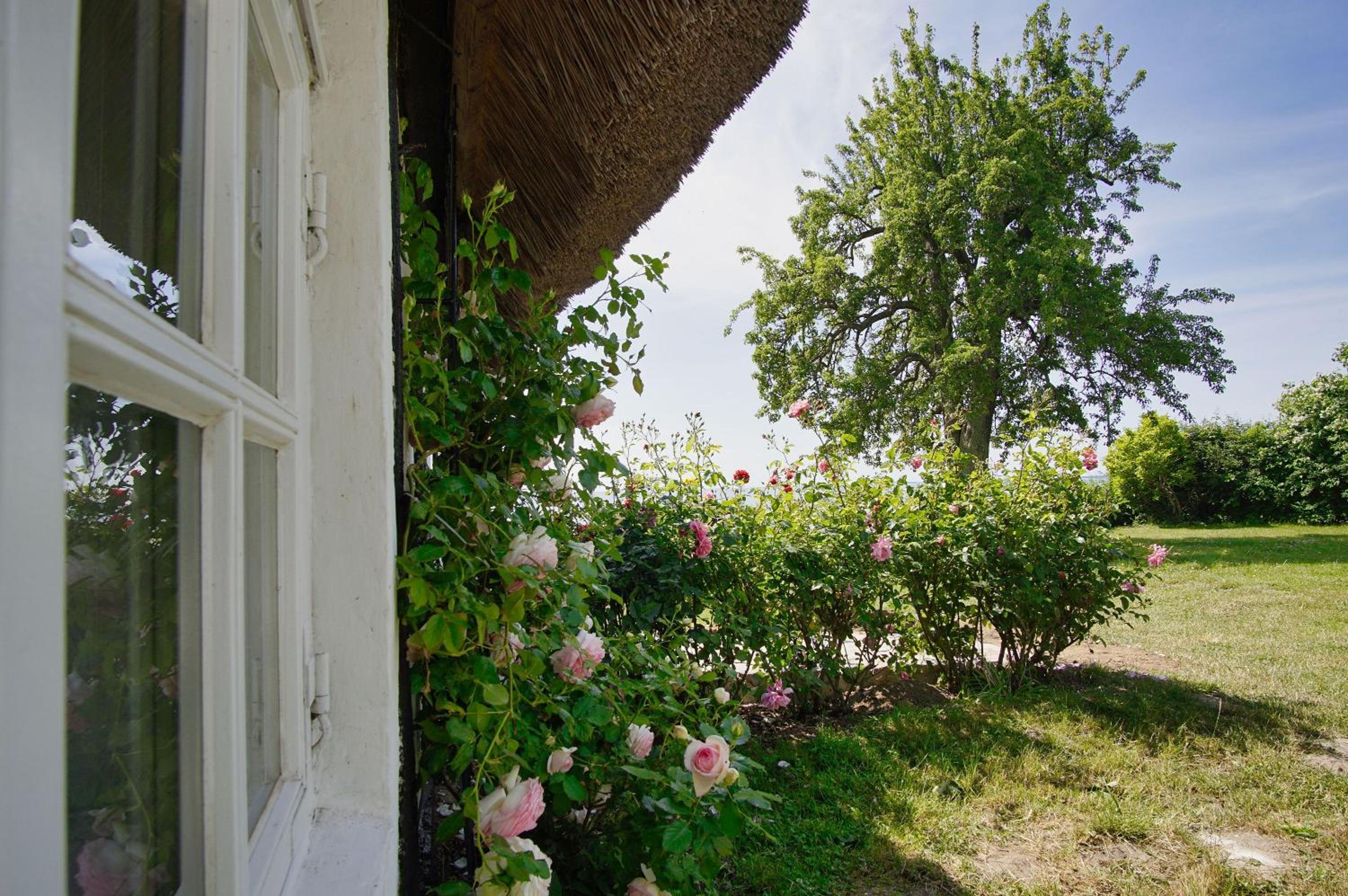 strandnahe Idylle am Meer, private Badestelle, Strandkorb - Gutshof Ostseeblick