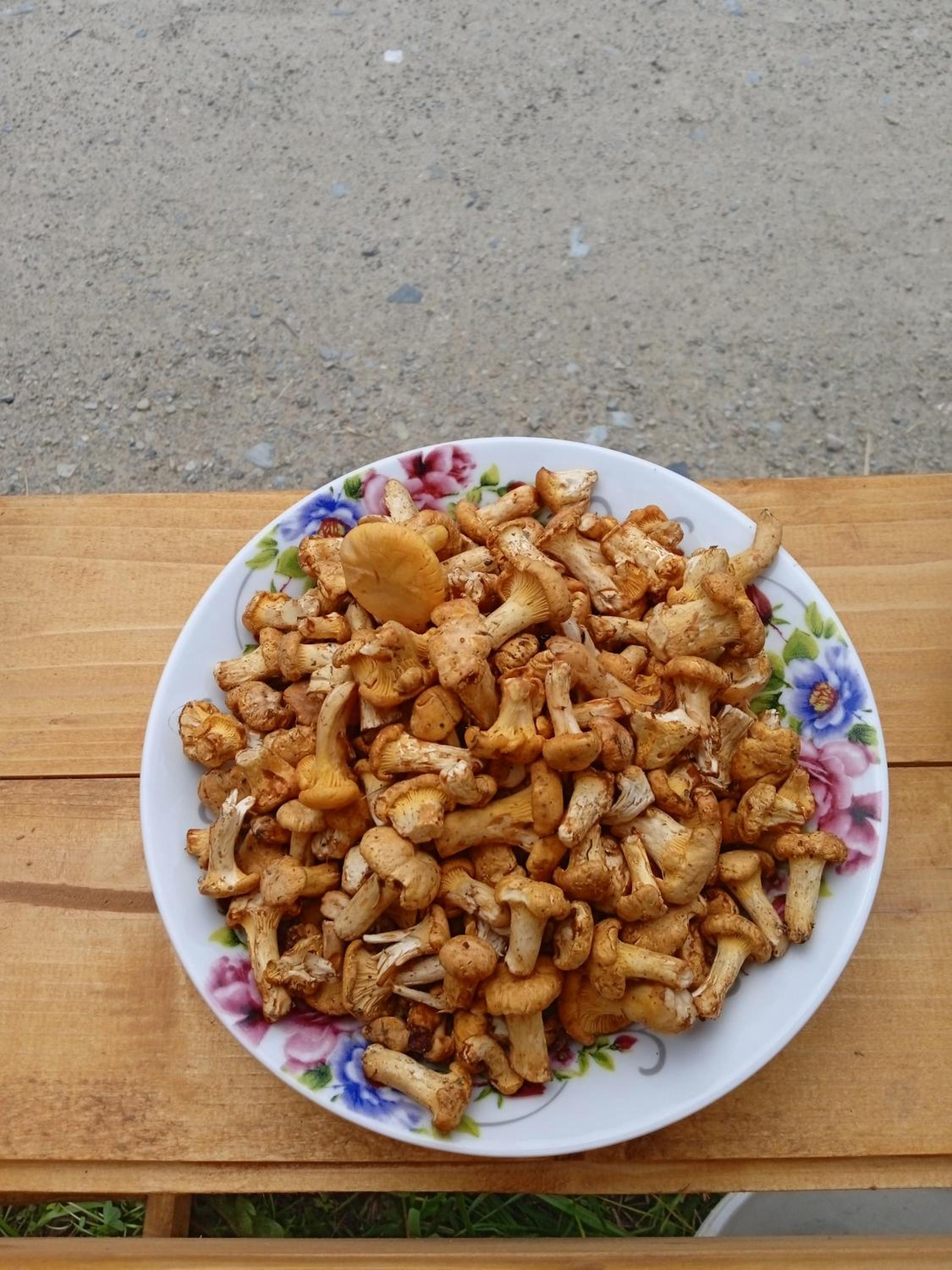 Girs'kyy Podorozhnyk