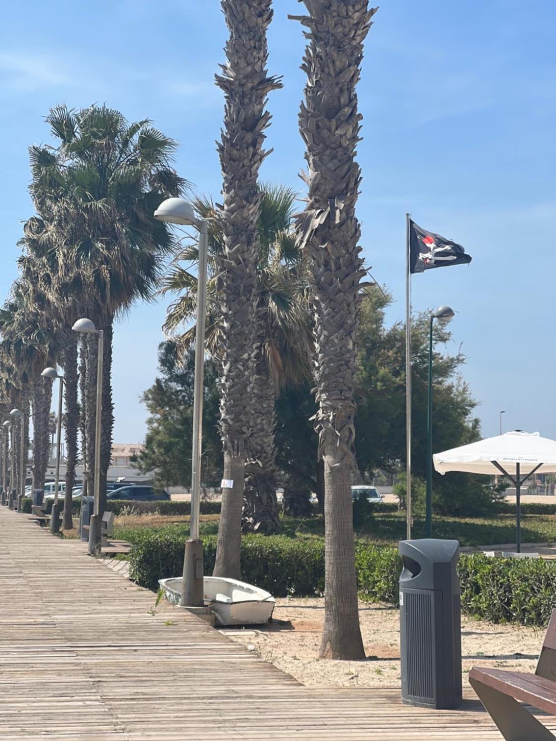 Photo 102