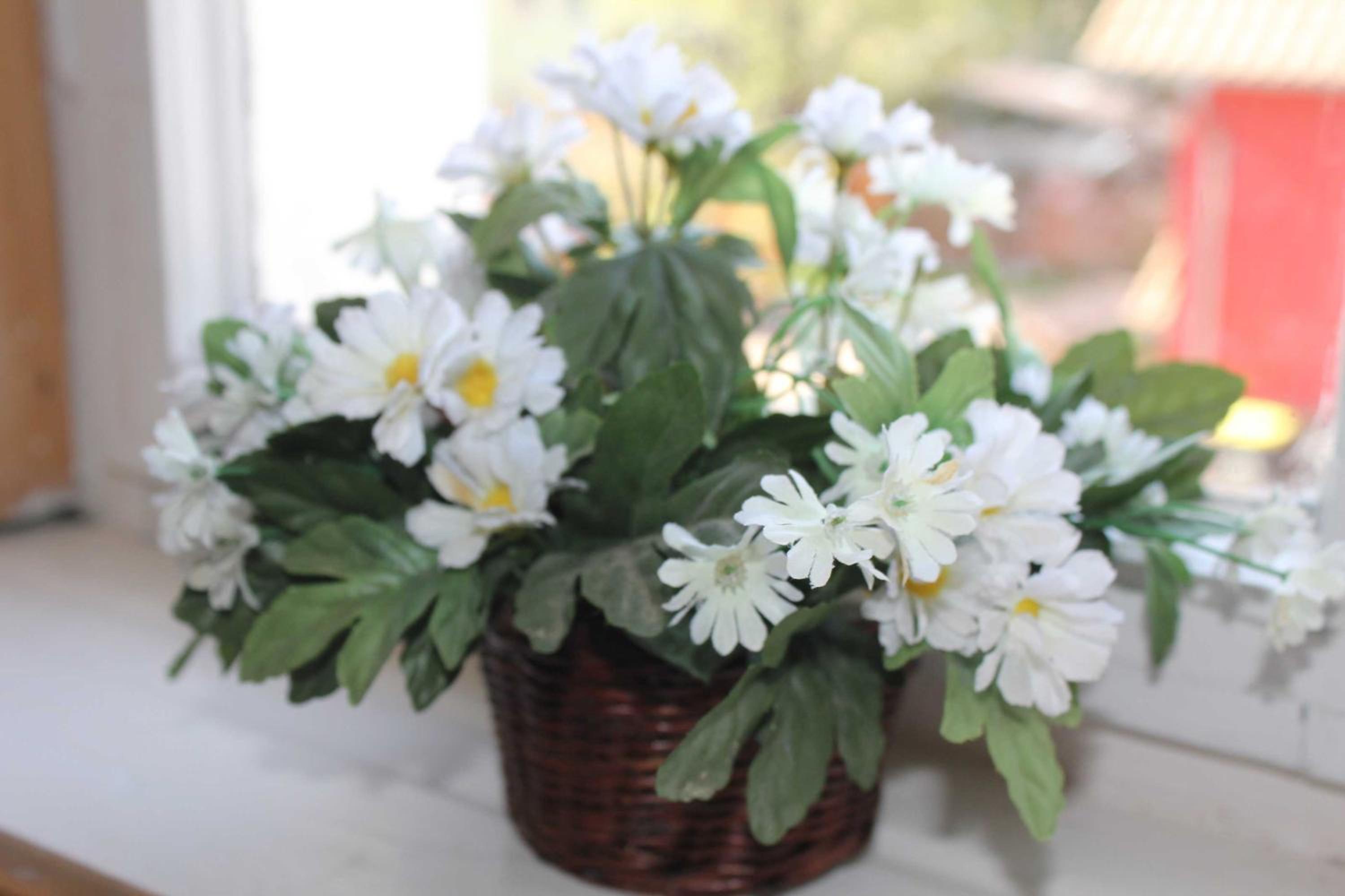 Photo 46