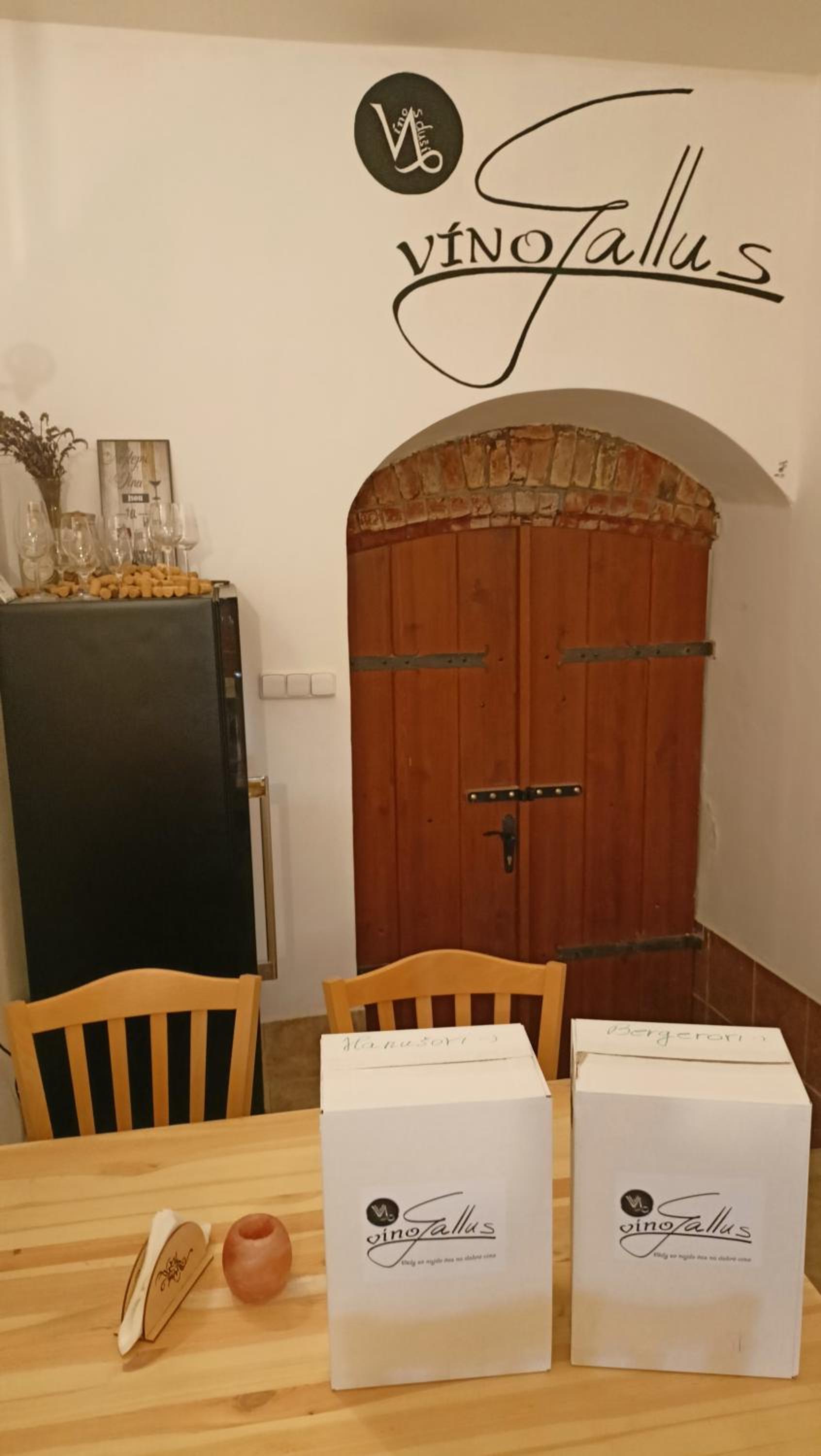 Apartmán a vinný sklep - Víno Gallus