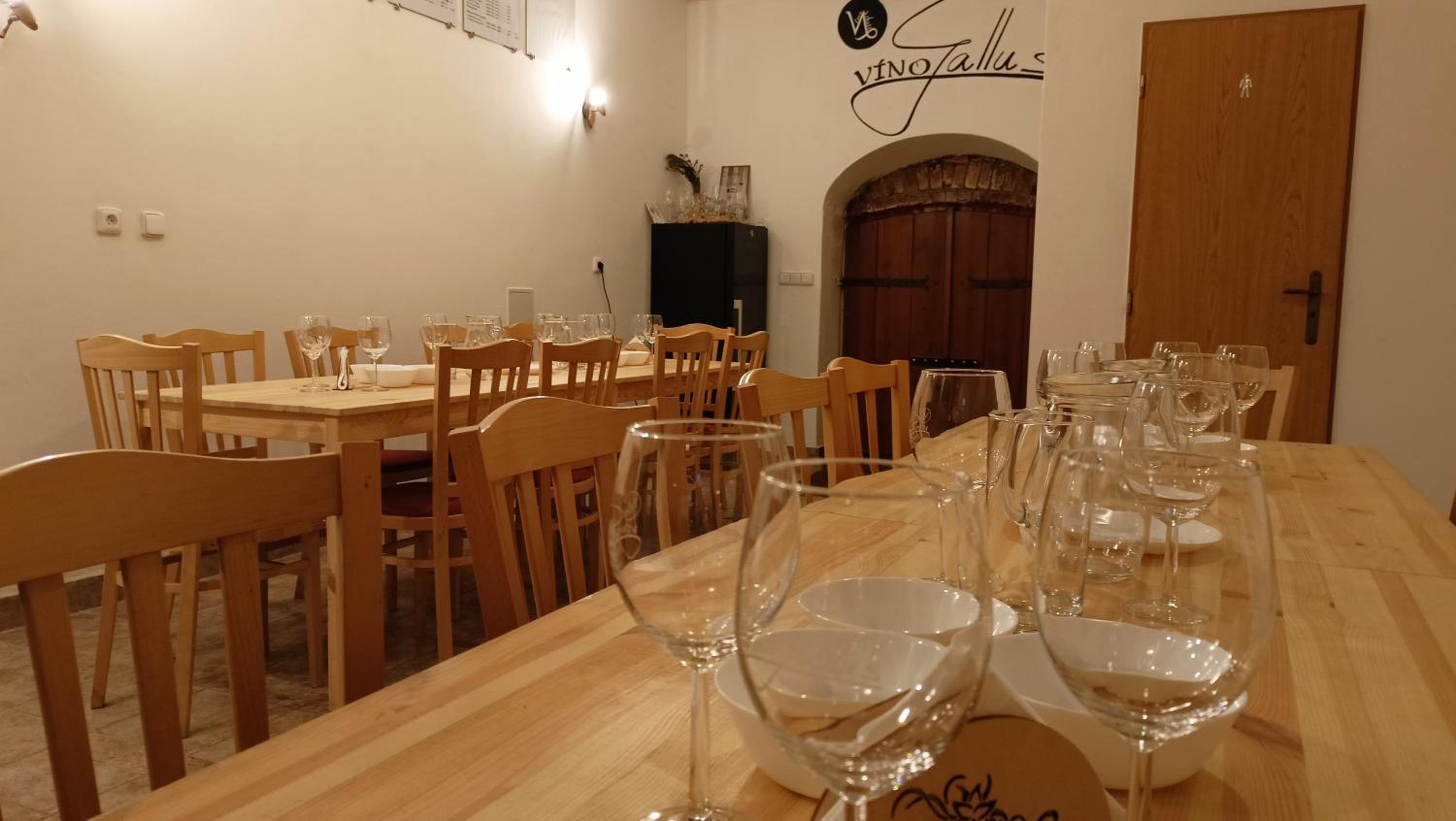 Apartmán a vinný sklep - Víno Gallus