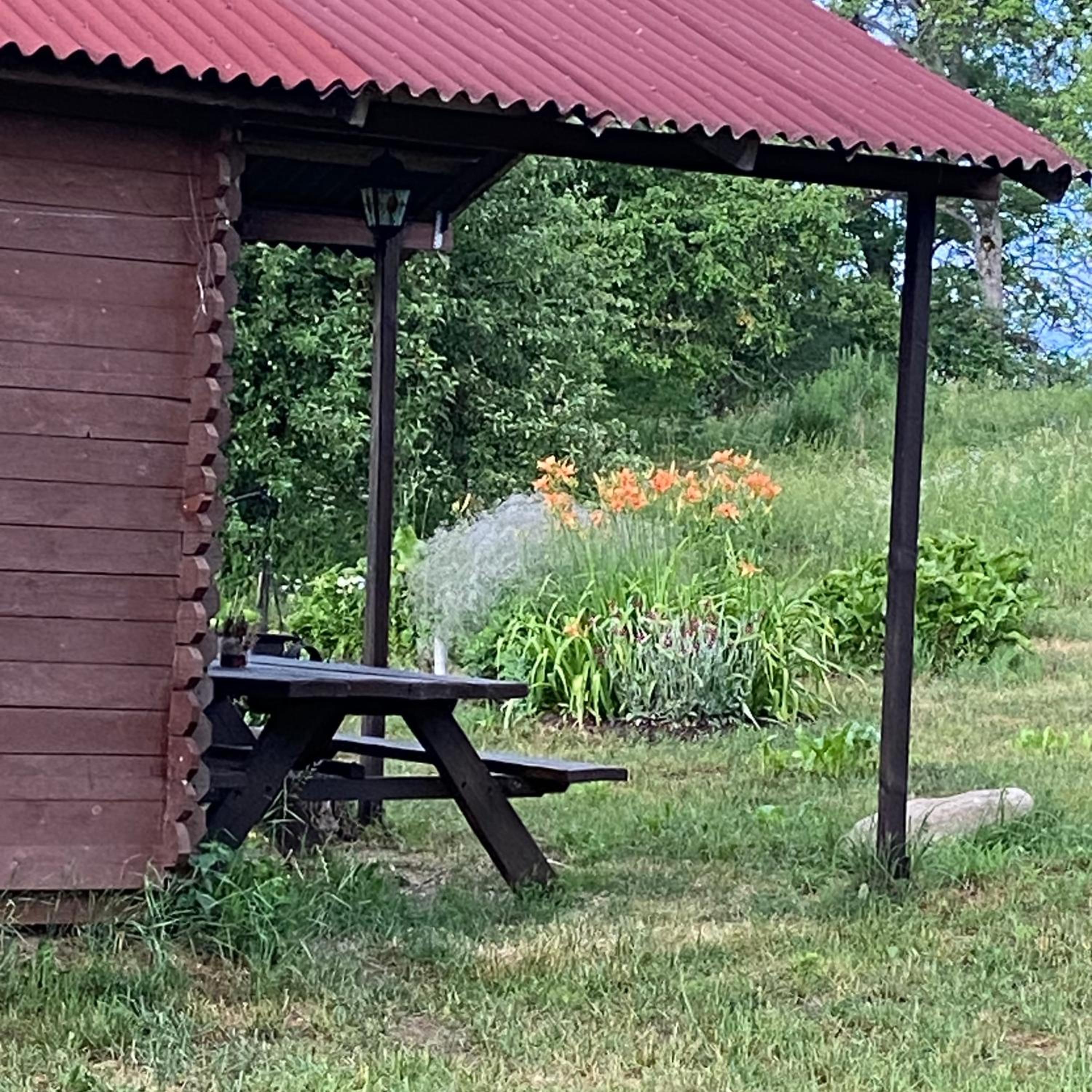 Senči