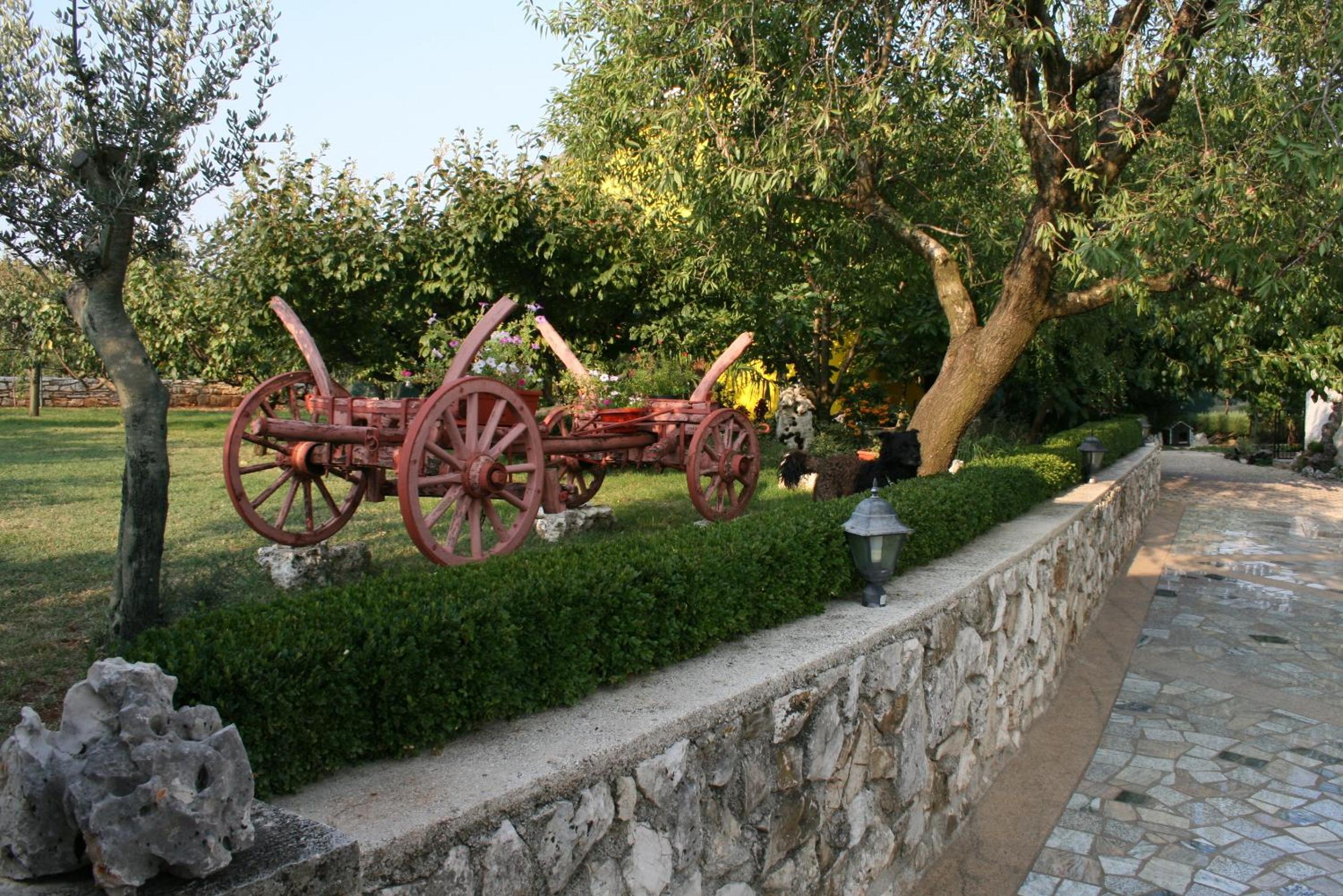 Photo 6