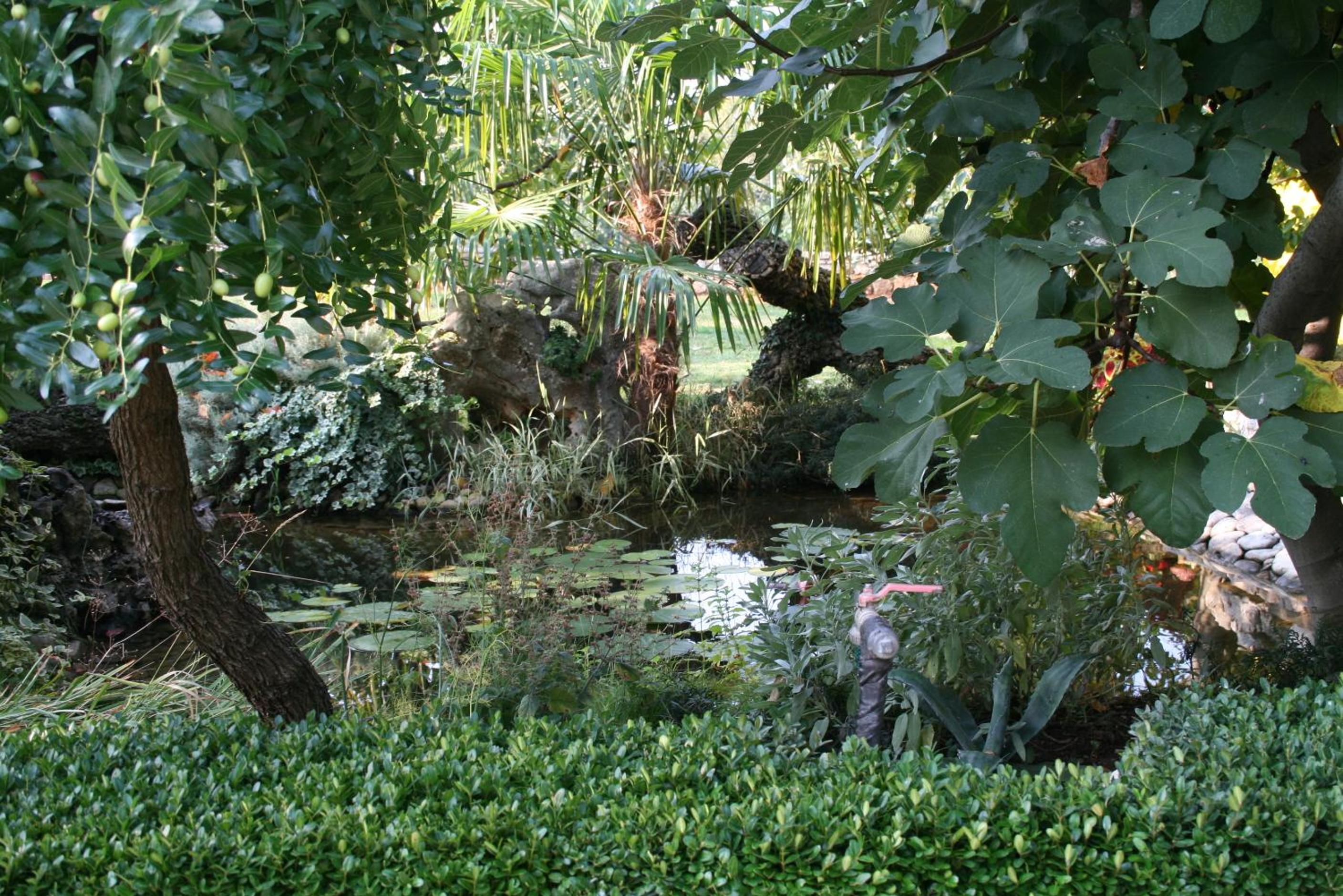 Photo 8