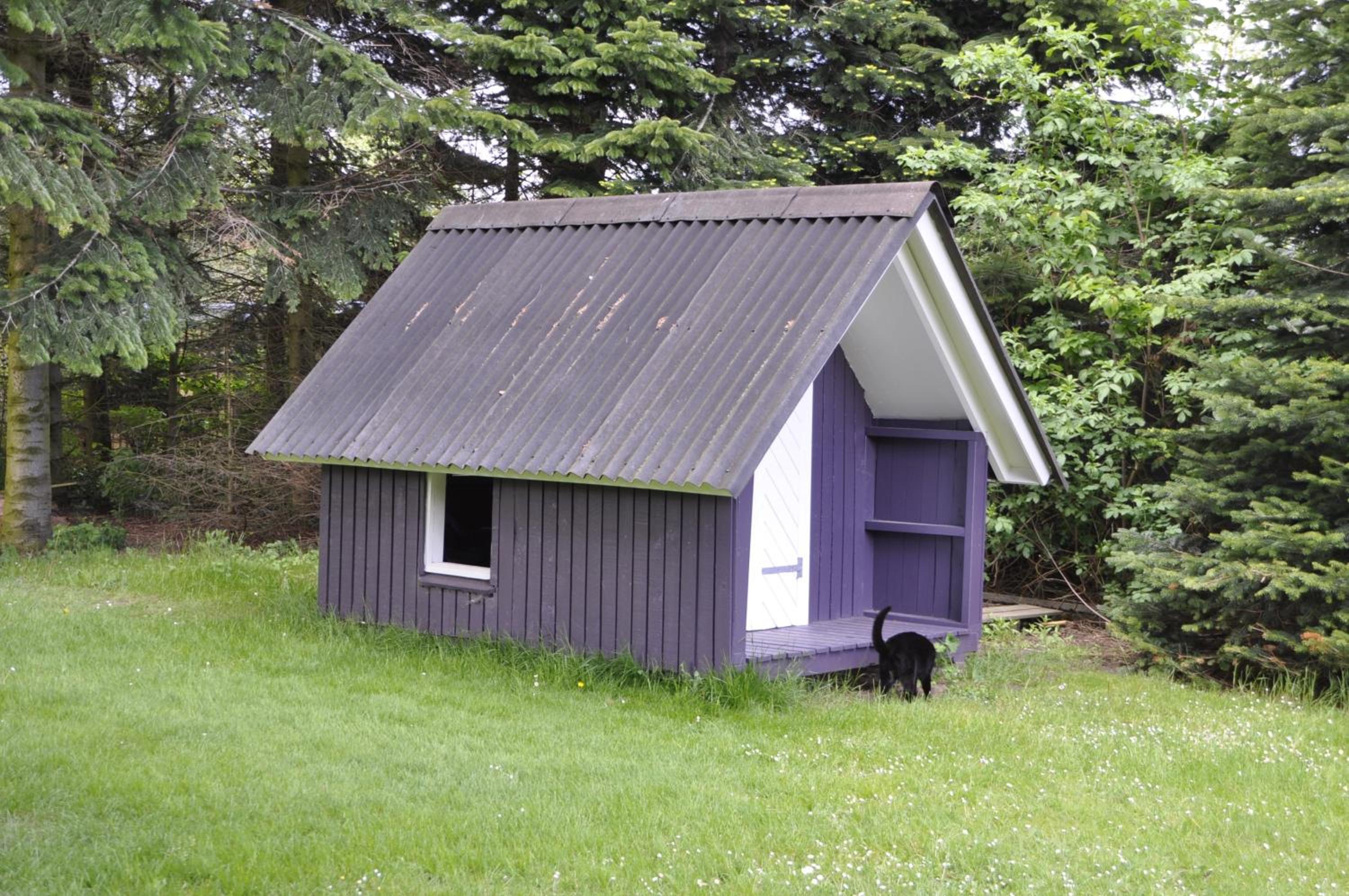 Photo 20