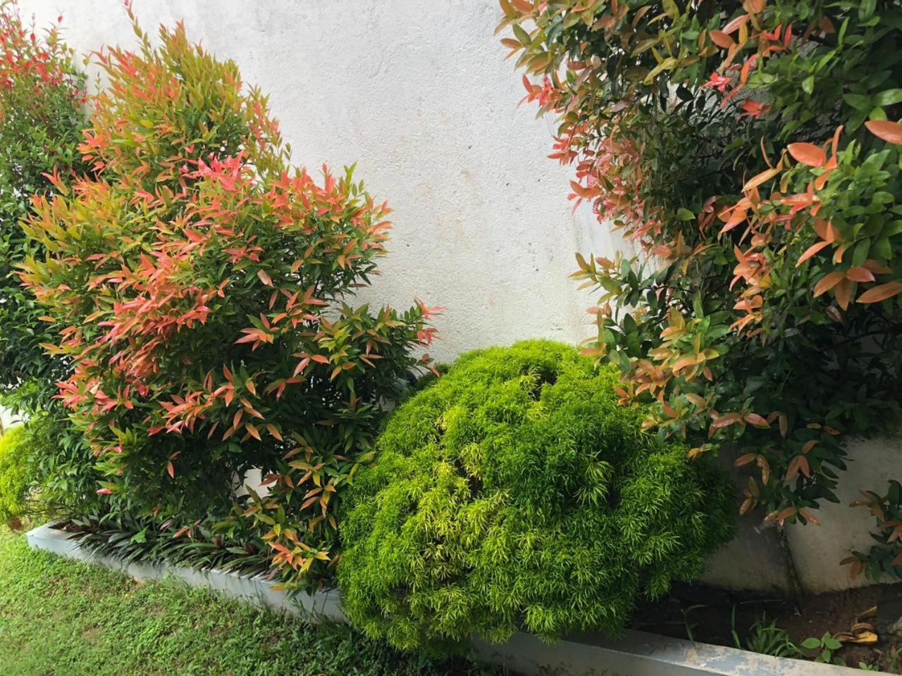 Photo 60