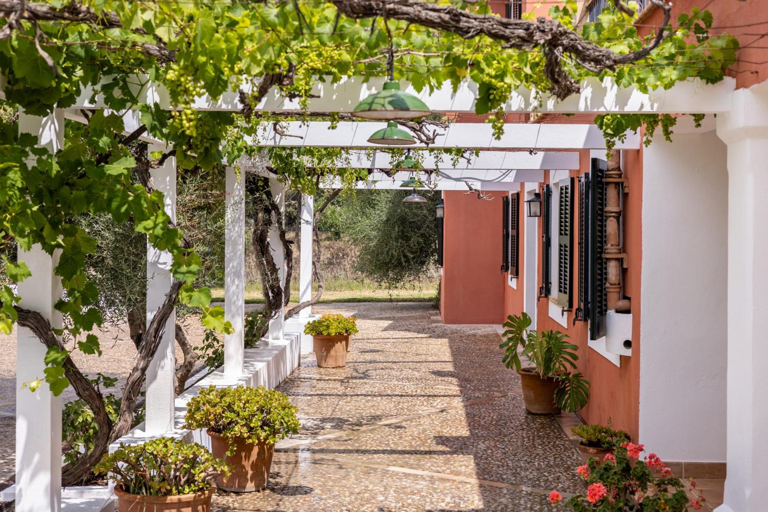 El Vilar