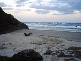 Photo 35