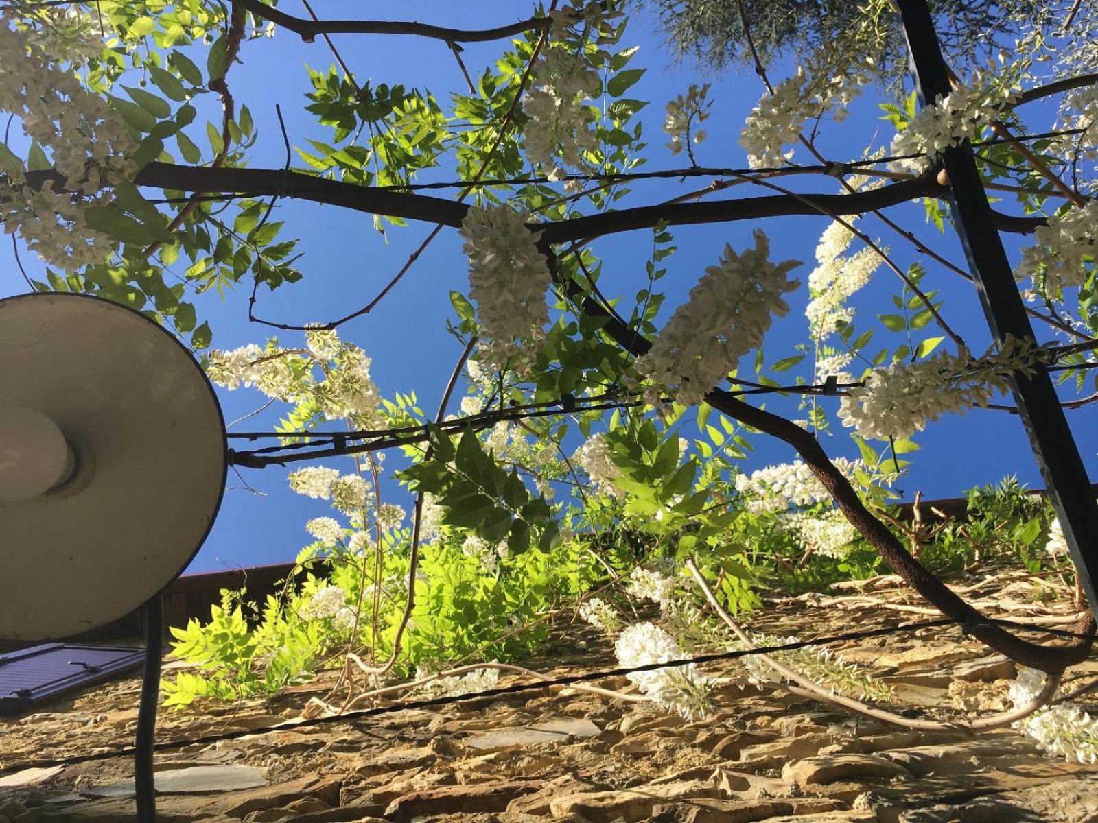 Borgata Cantone Country House B&B