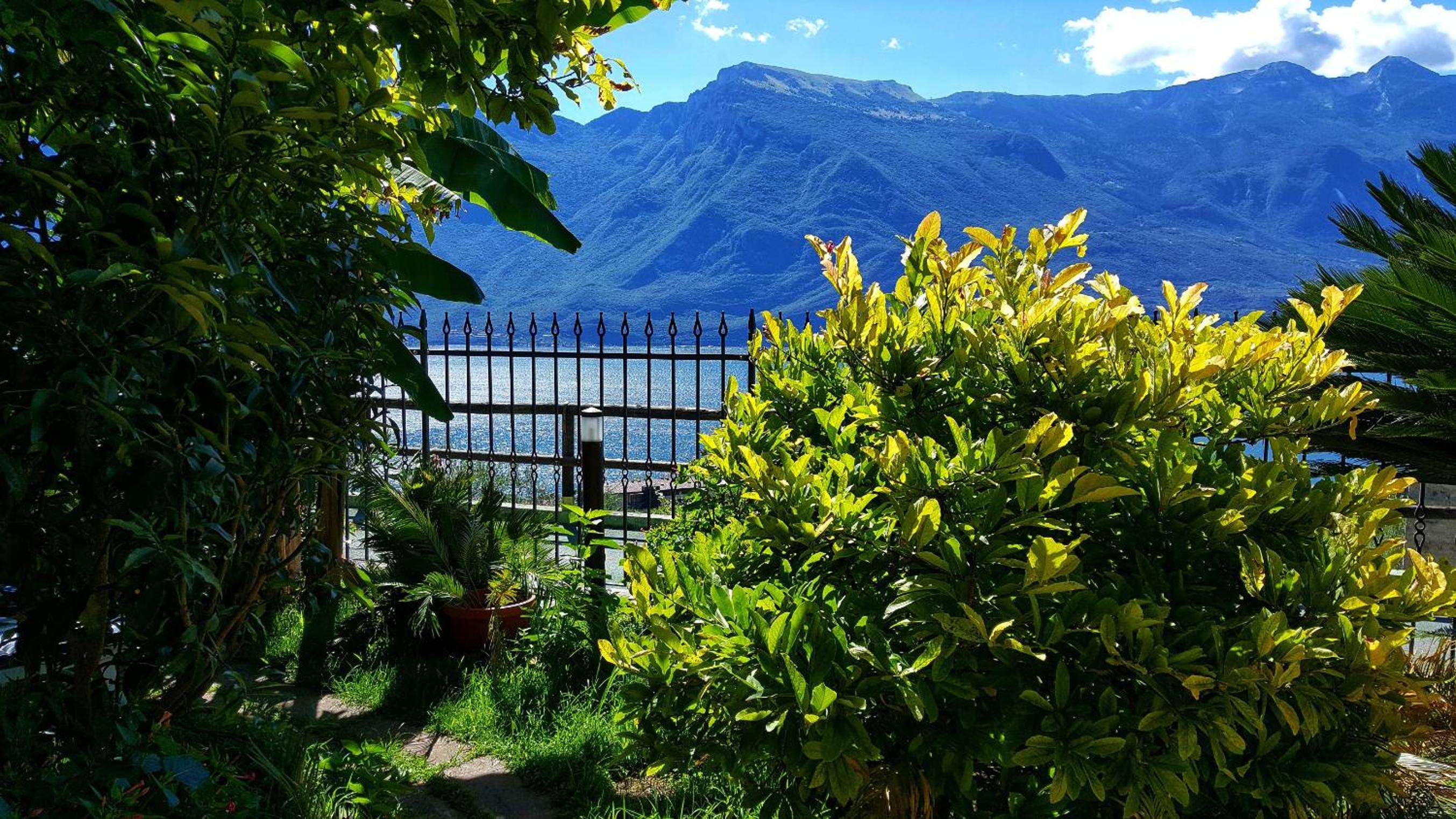 Villa Fior di Loto
