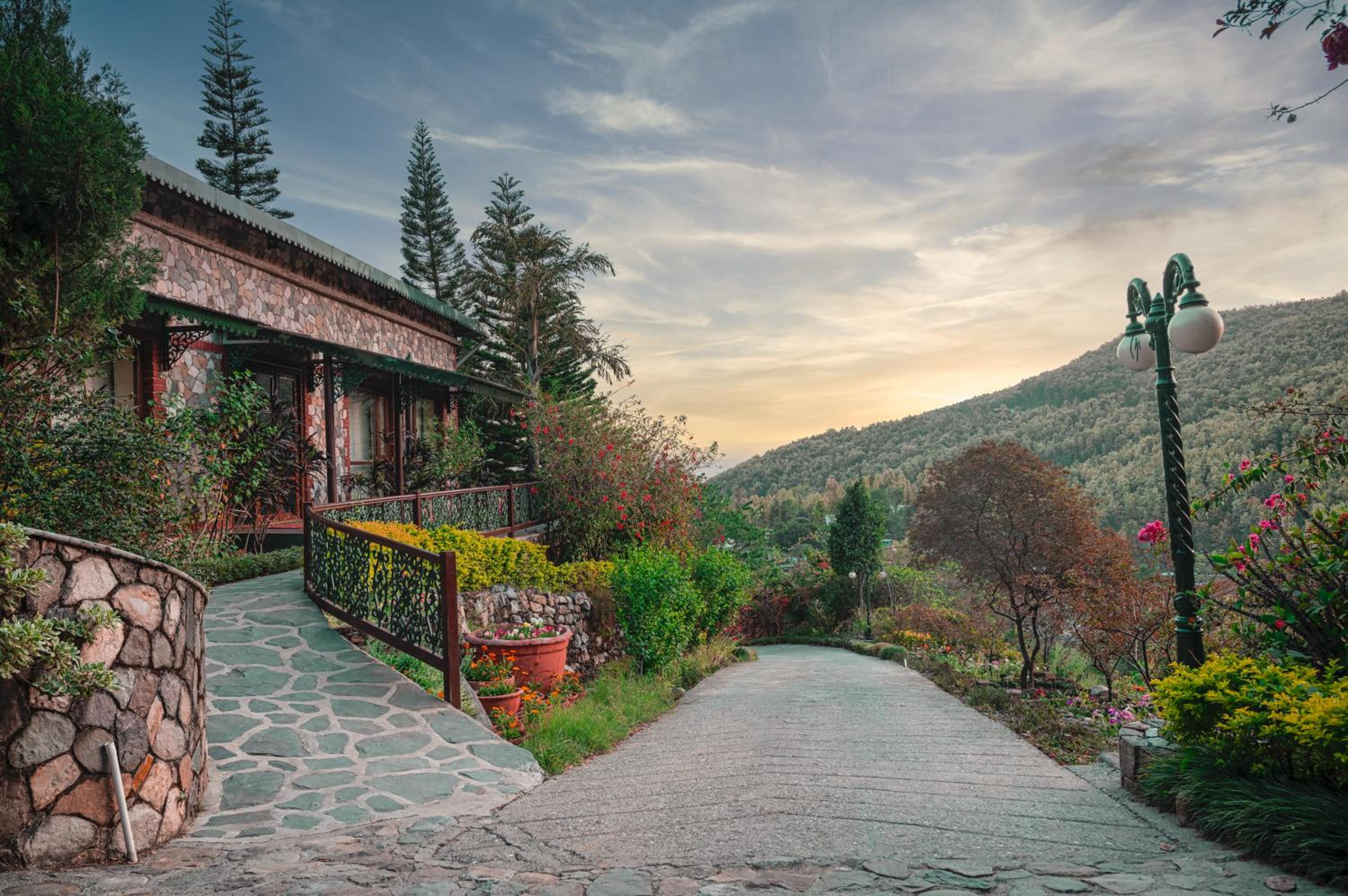 Tree of Life Resort Dehradun Foothills view 2