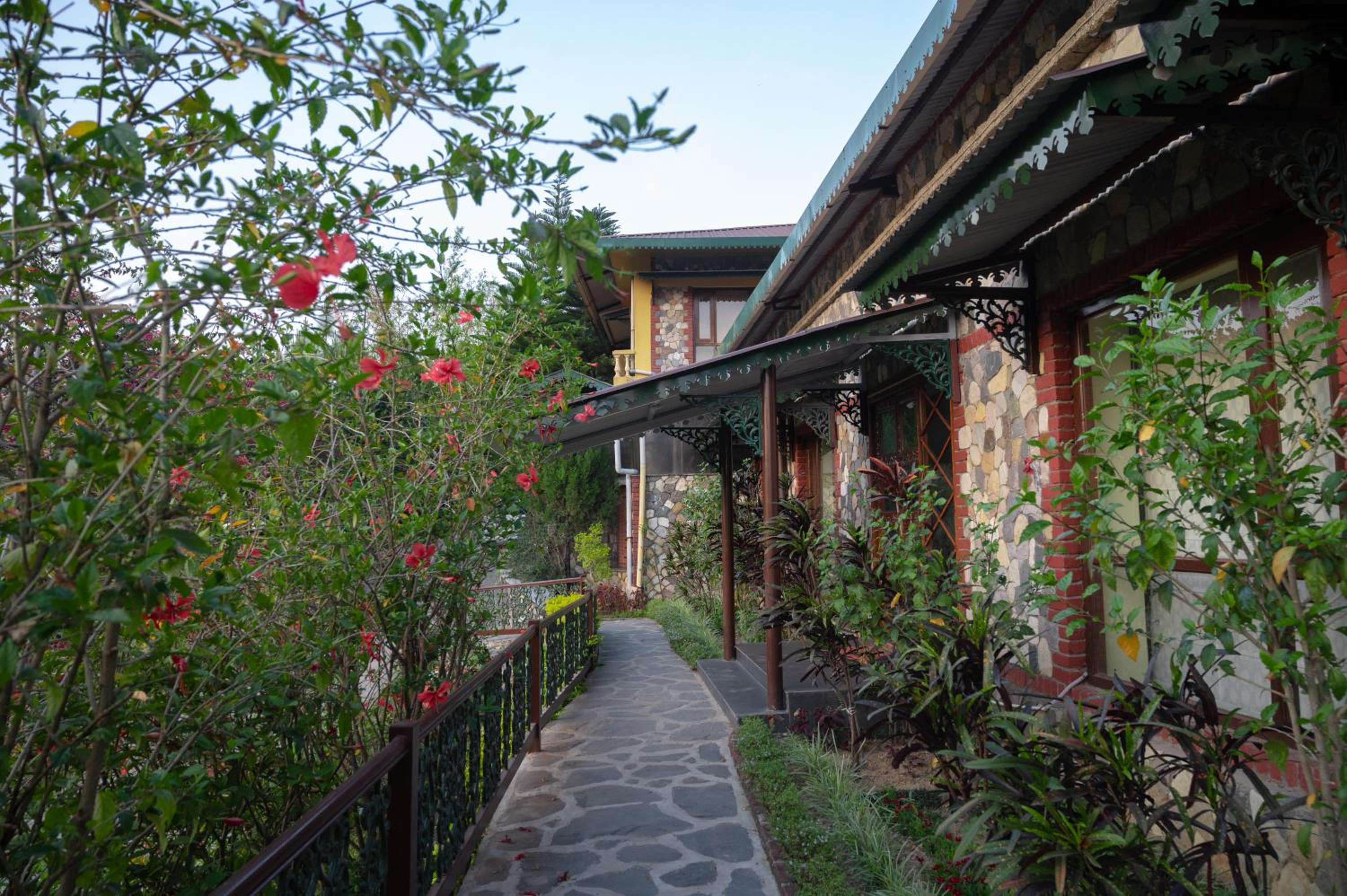 Tree of Life Resort Dehradun Foothills view 3