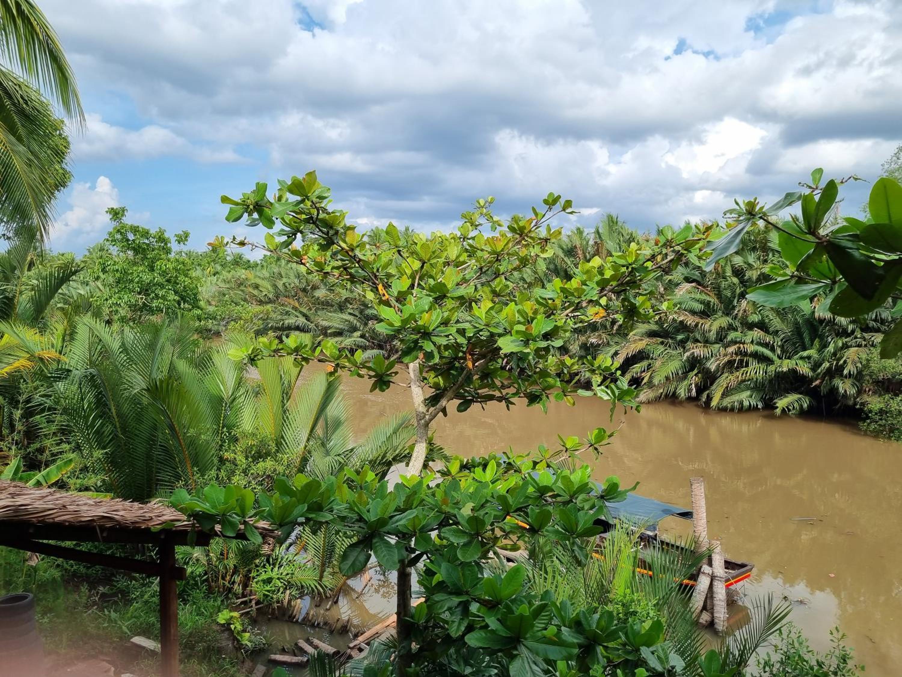 The Zen - InnerZen Mekong Riverside homestay Ben Tre 1 bed for 1-2 persons, 2 beds for 3-4 persons