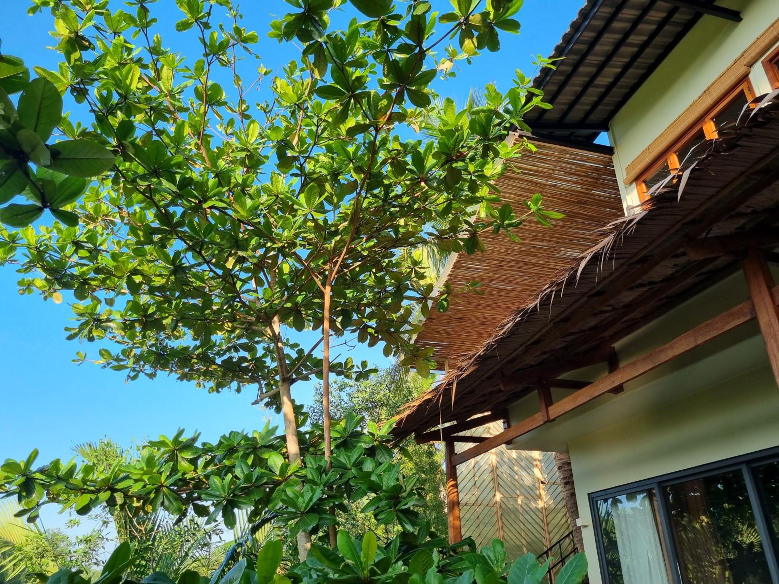 The Zen - InnerZen Mekong Riverside homestay Ben Tre 1 bed for 1-2 persons, 2 beds for 3-4 persons
