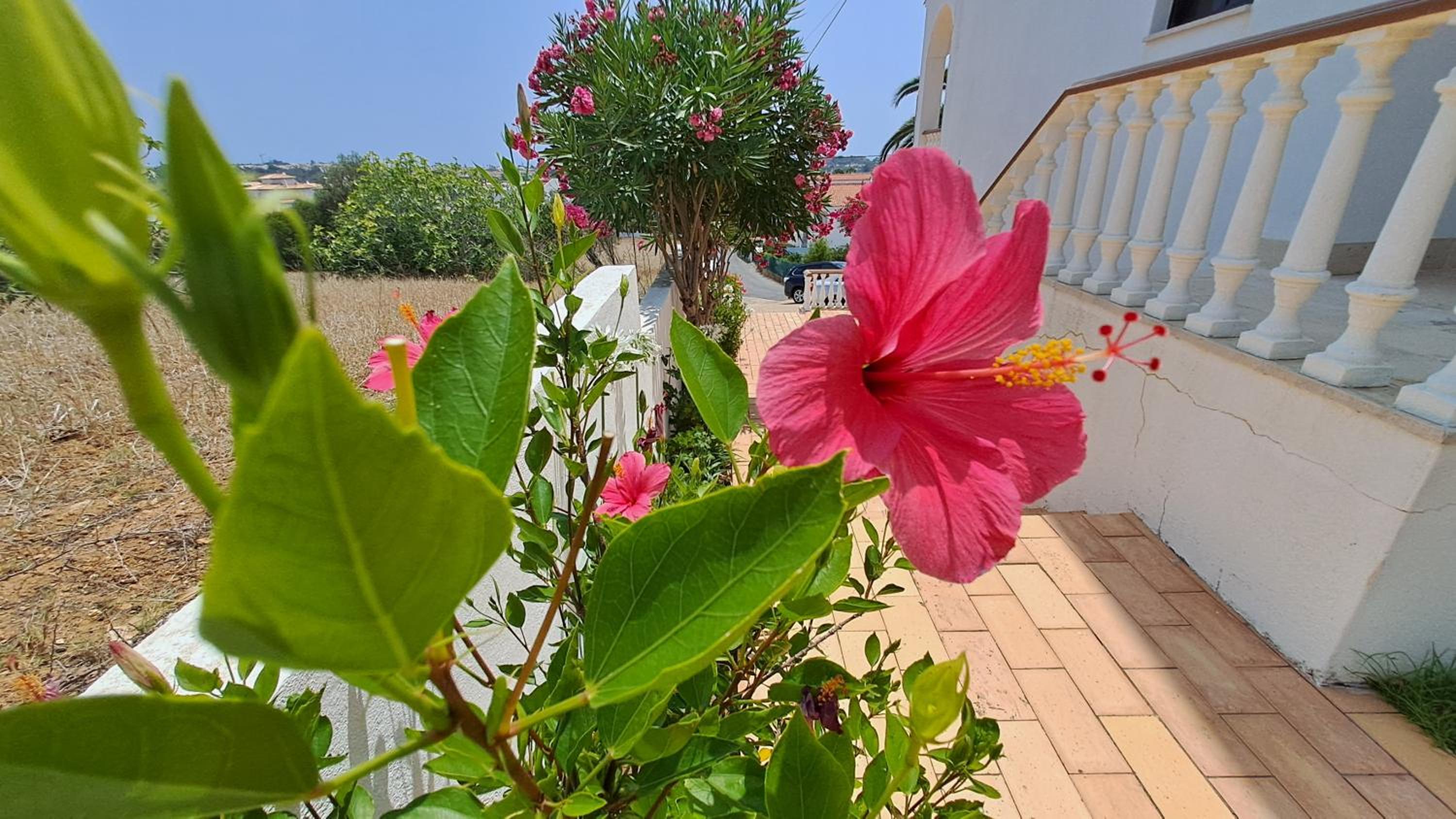 Albufeira Traditional Apartments IN VILLA
