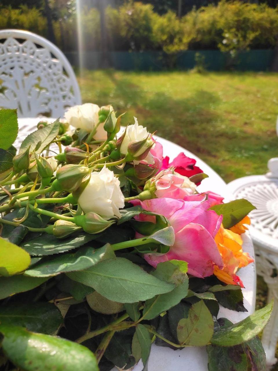 Secret Garden Villa Ella Bandarawela view 3