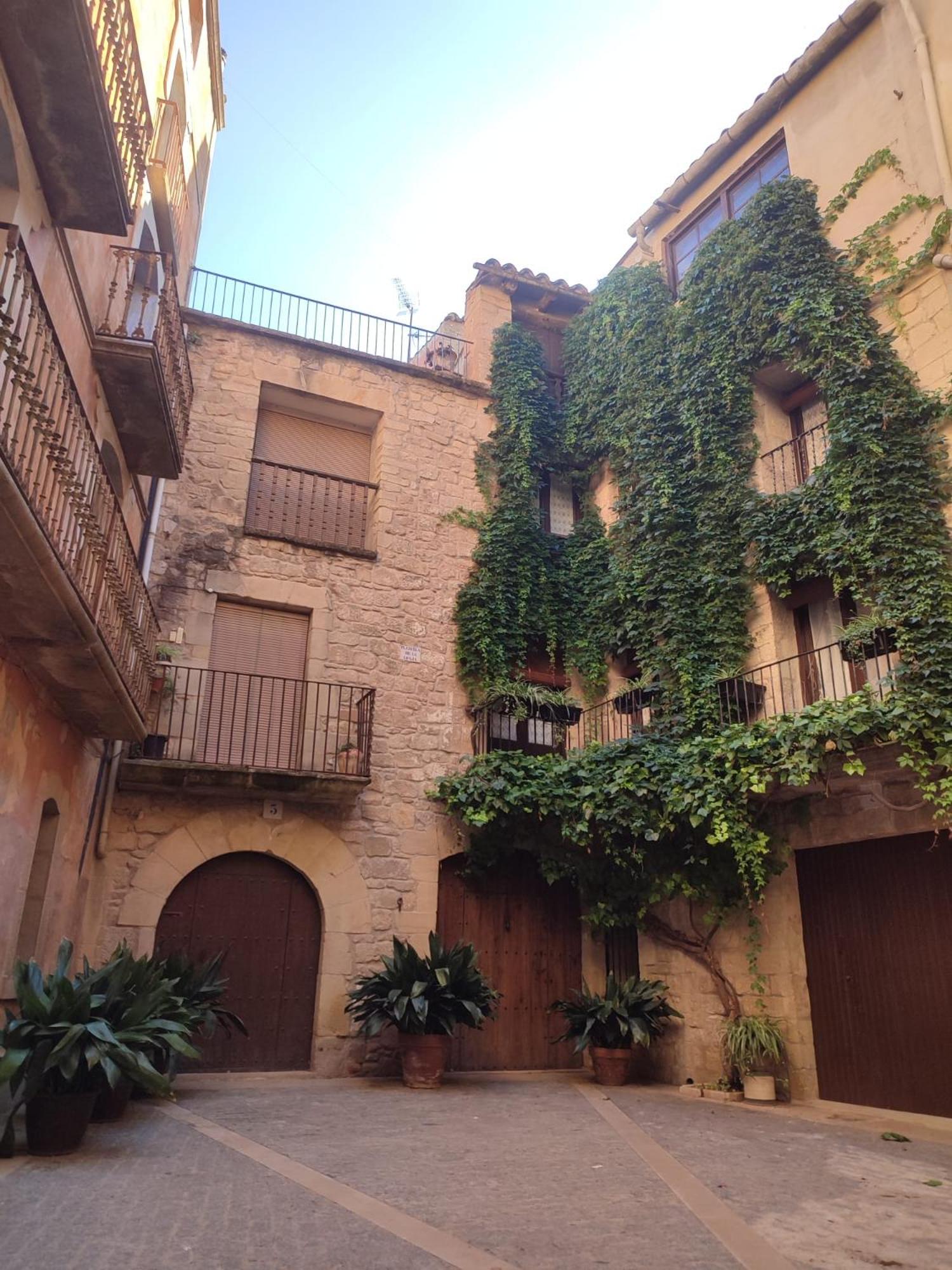 Casa Rural La Gineta
