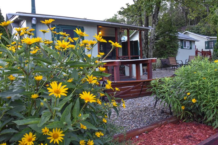 Photo 95