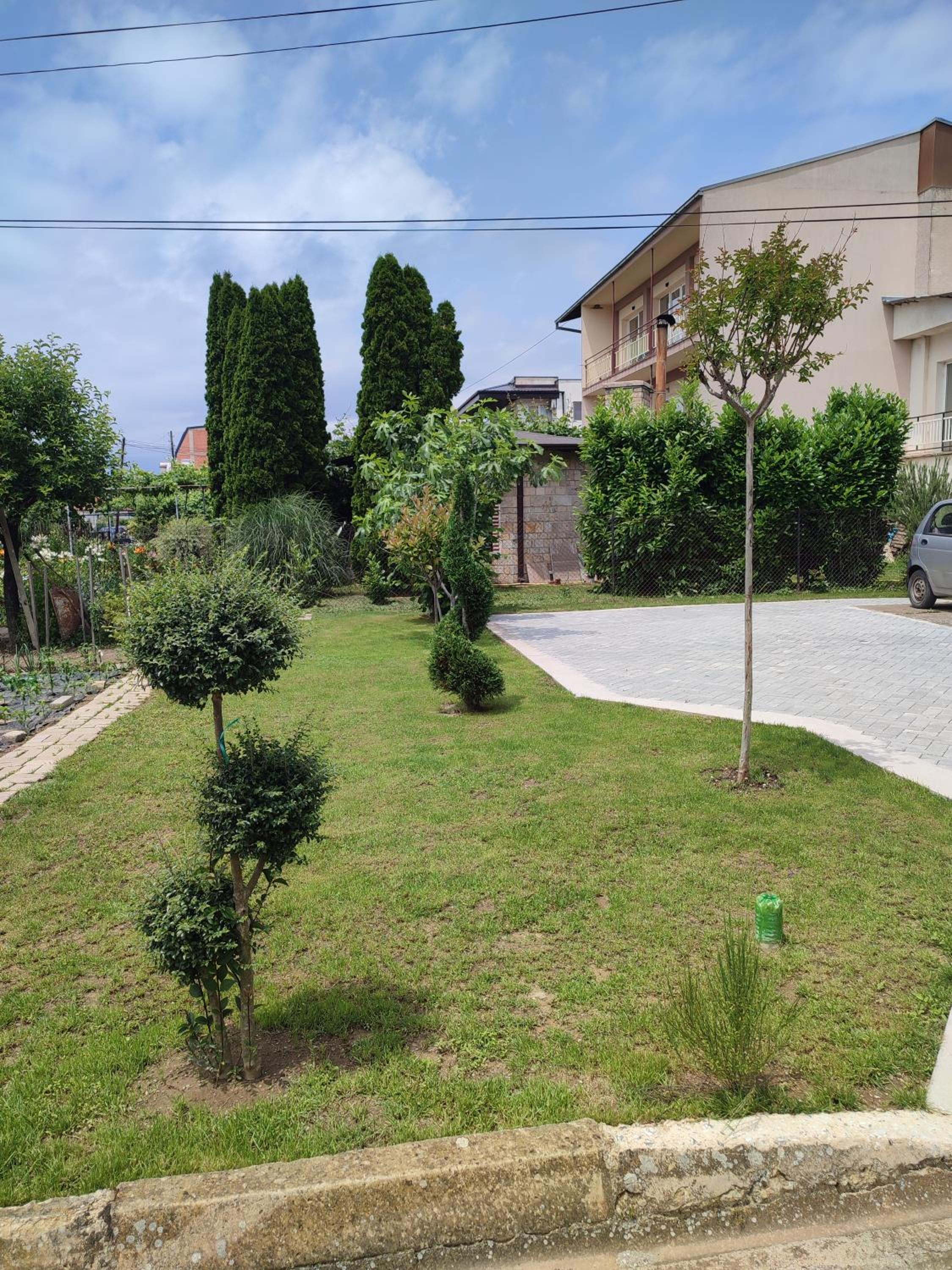 Photo 29