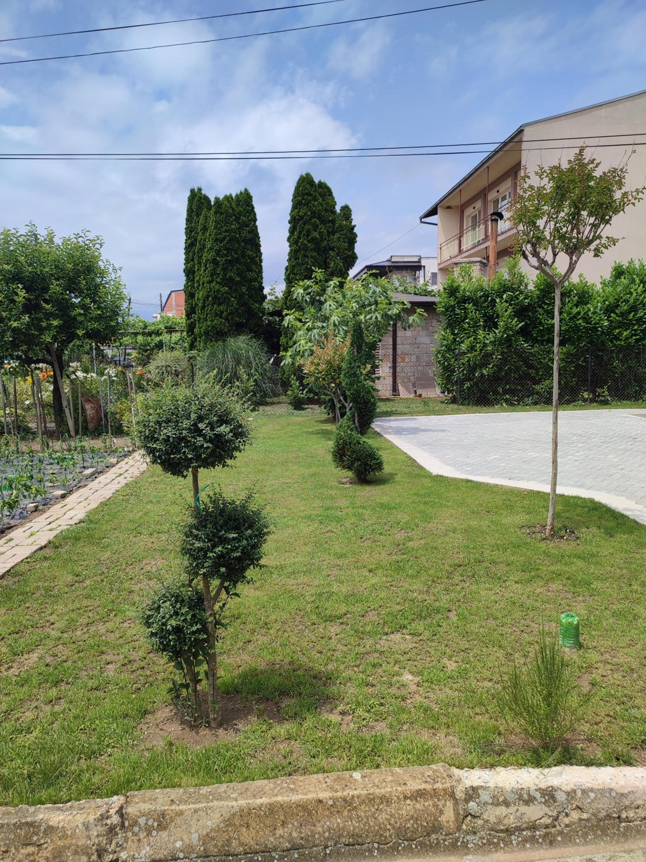 Photo 26