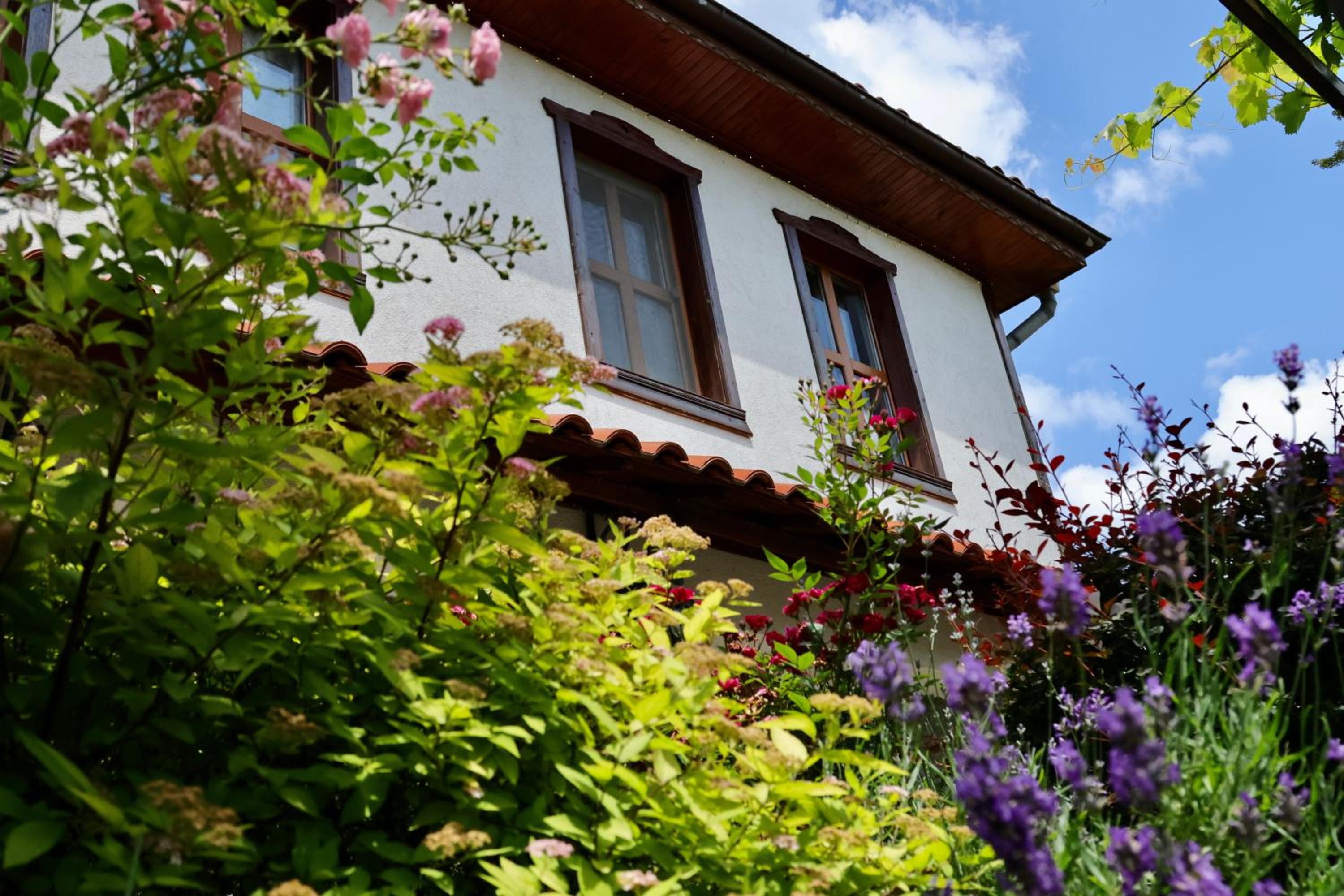 Iliikova House