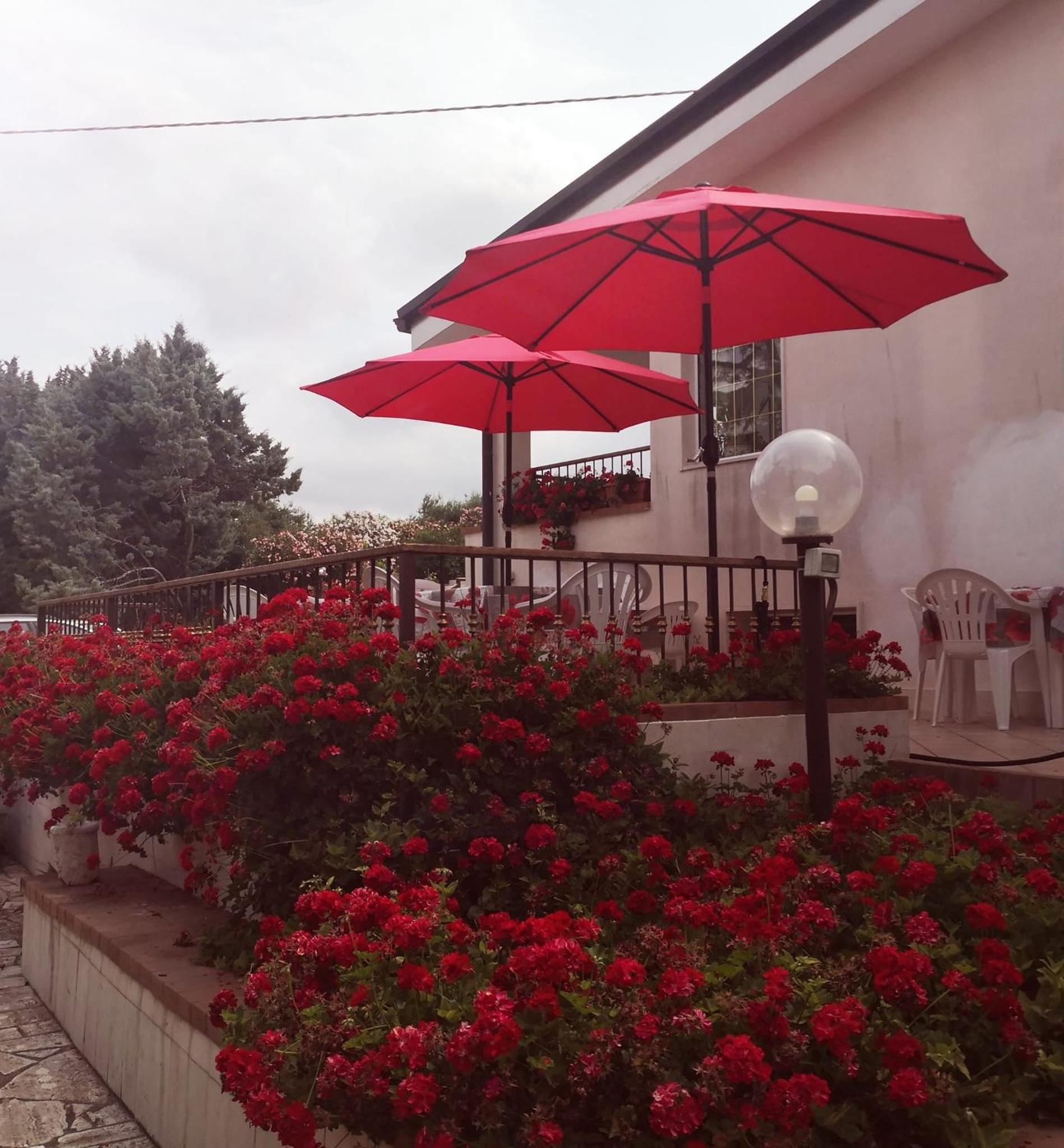 Photo 43
