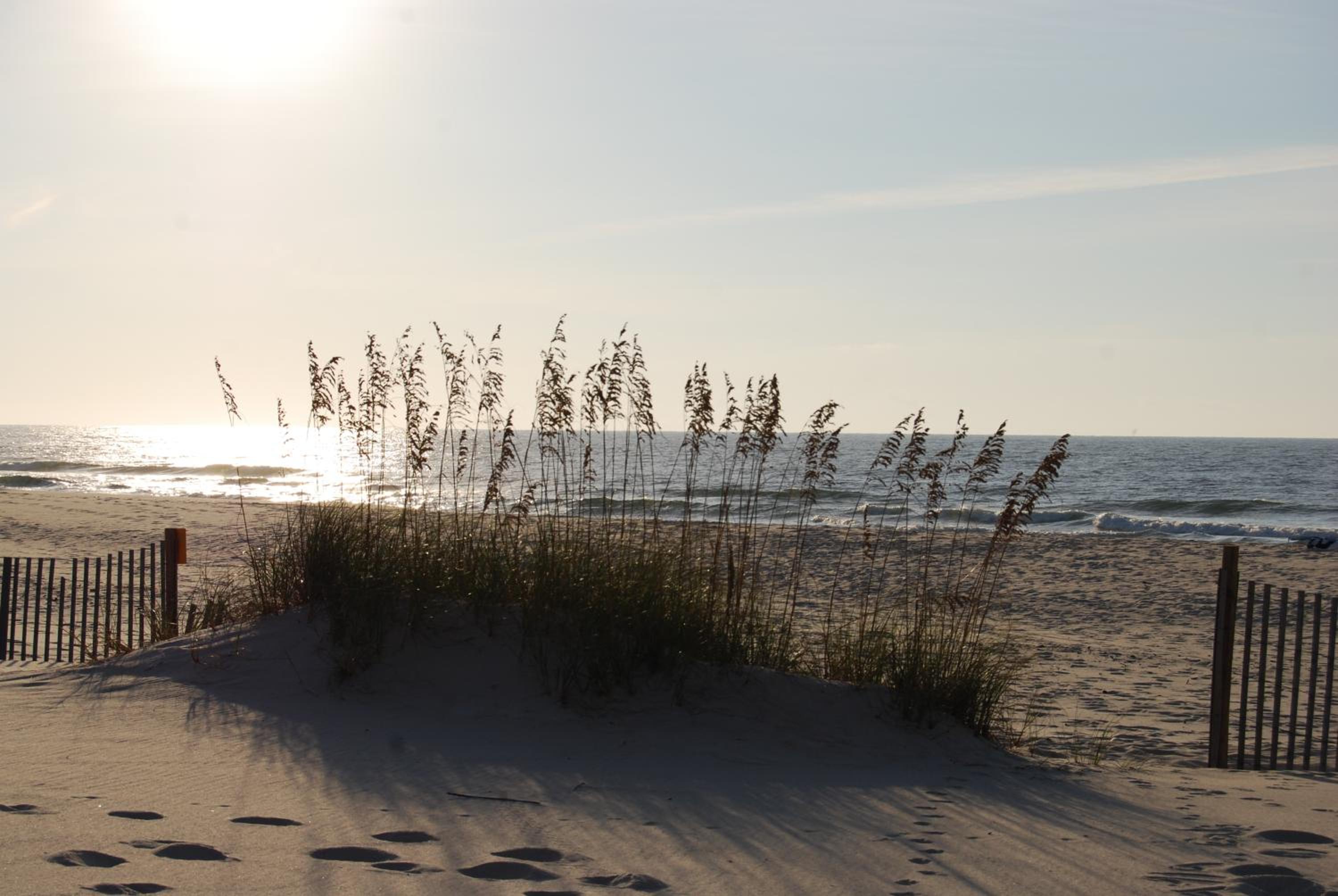 Deans Dunes