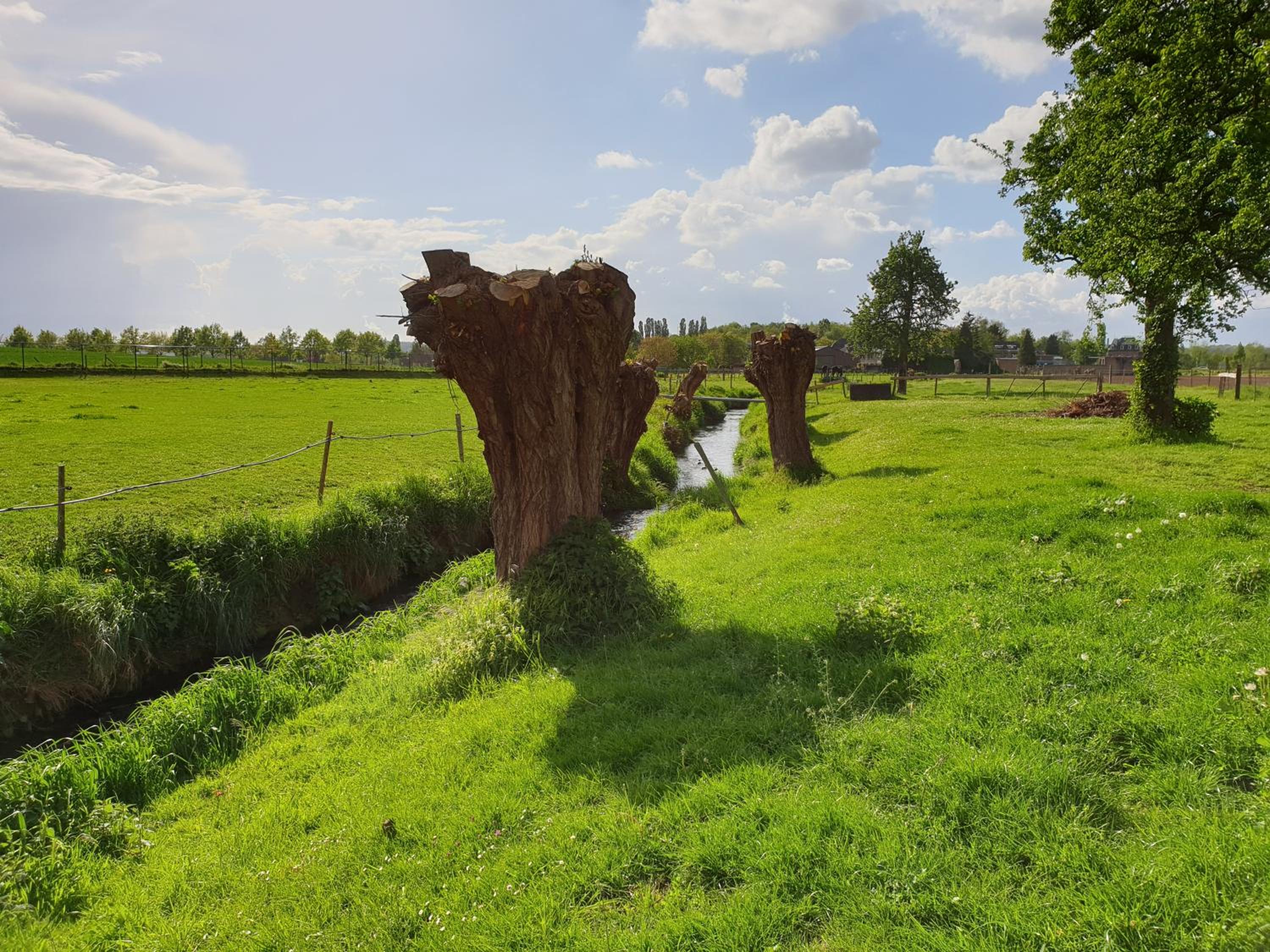 Meschermolen 13