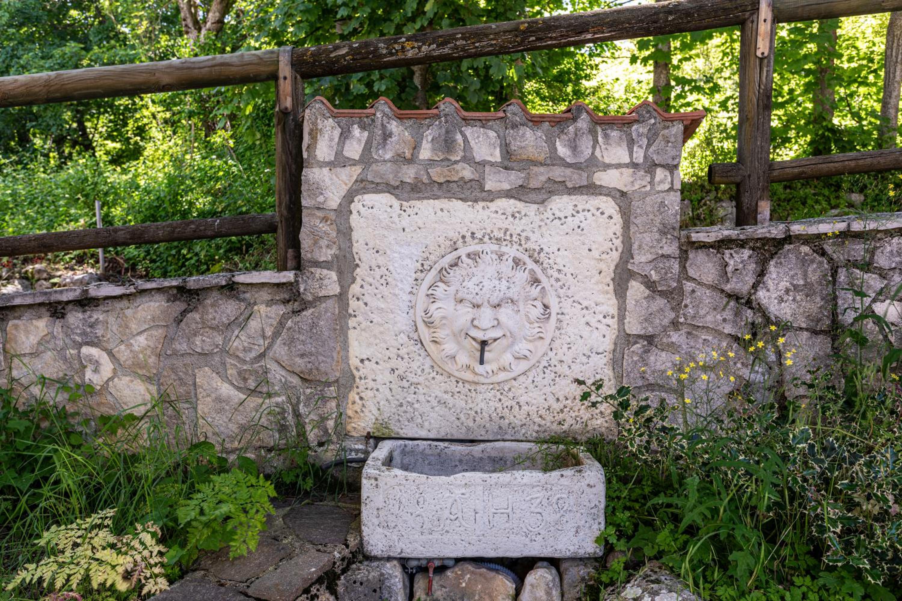Photo 20