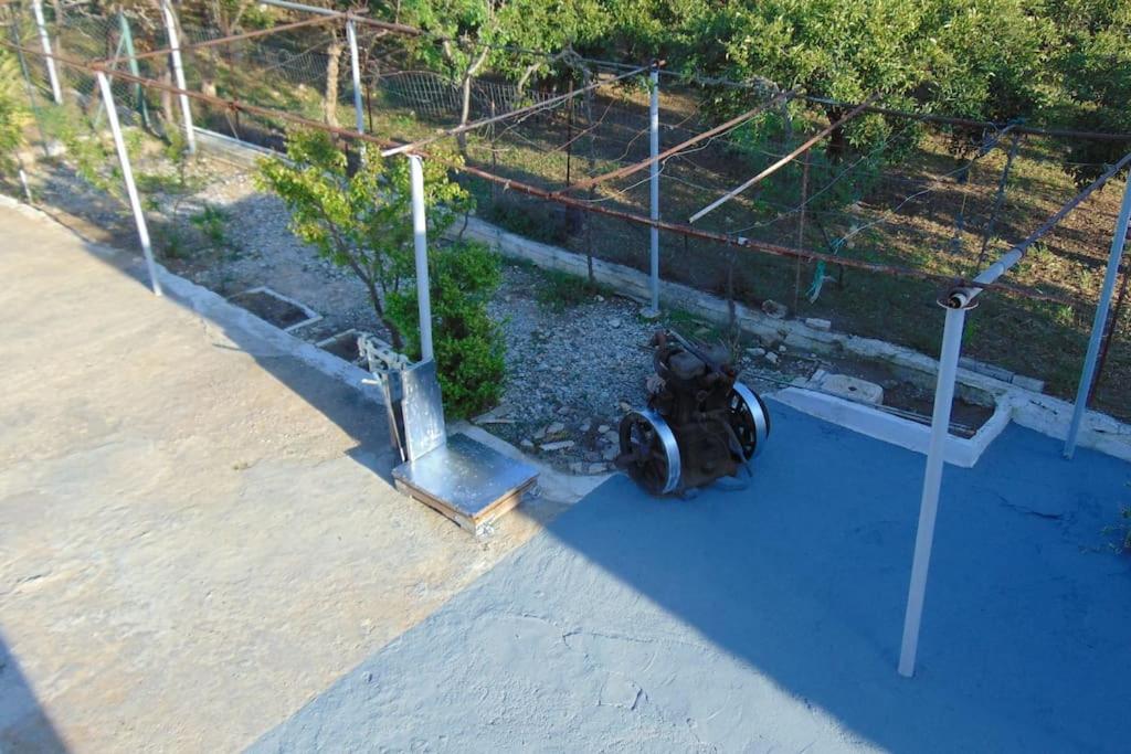 Photo 40