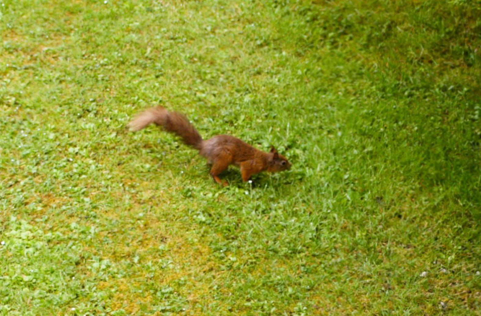 Photo 48