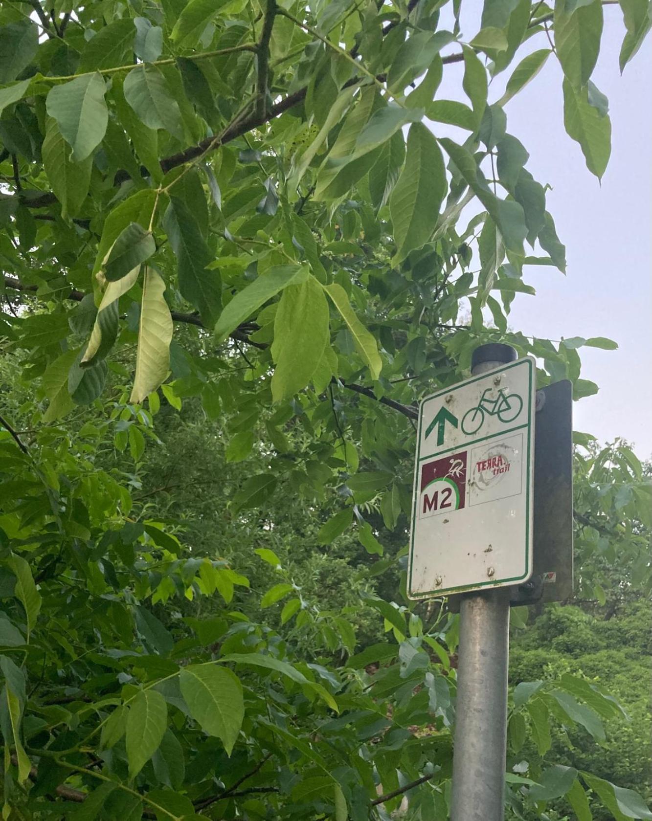 In der Wassermühle