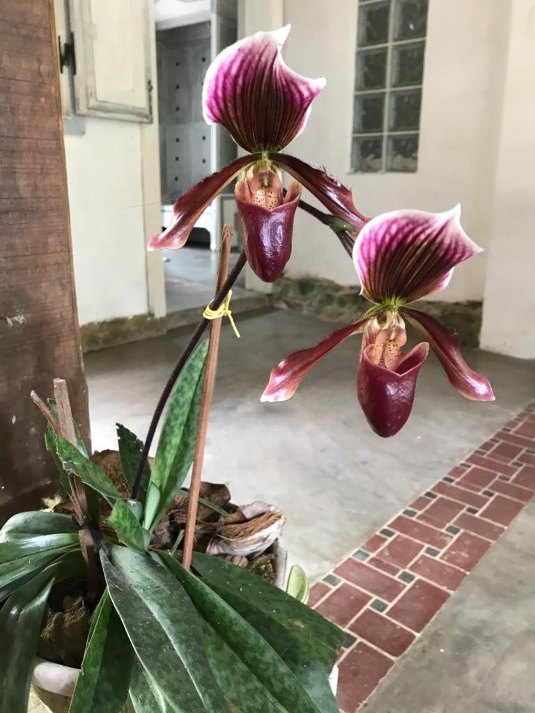 other