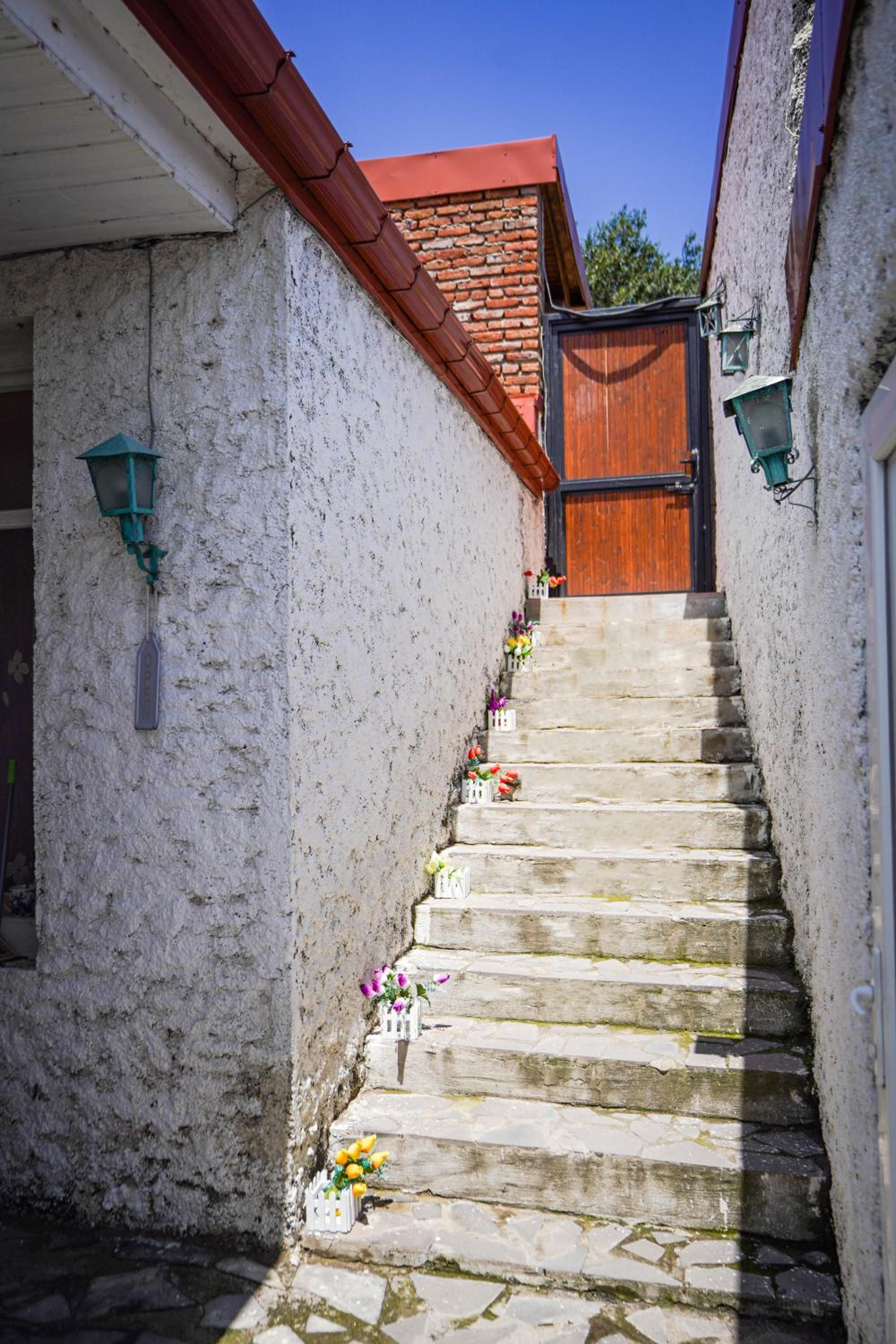 Photo 43