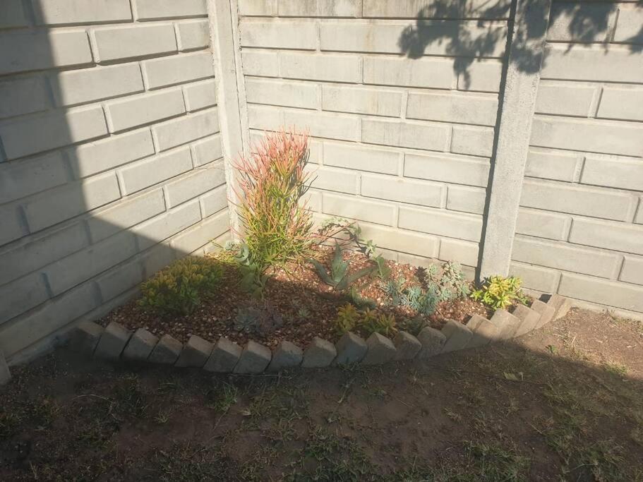 Acacia's Rest